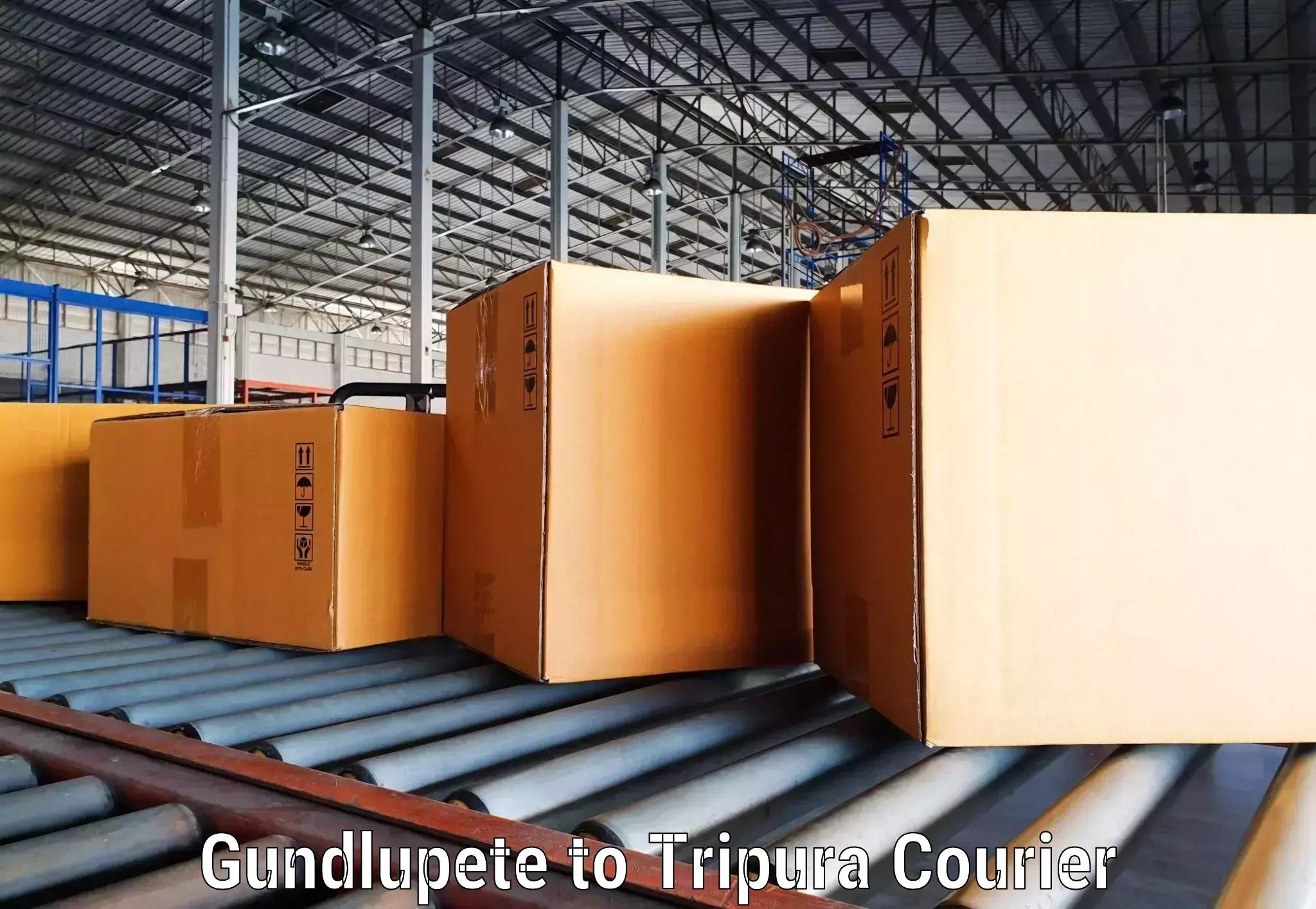 Express courier capabilities in Gundlupete to Tripura