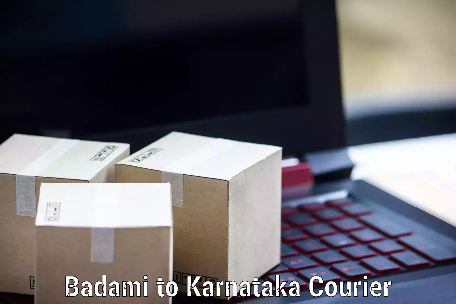 Return courier service in Badami to Arsikere