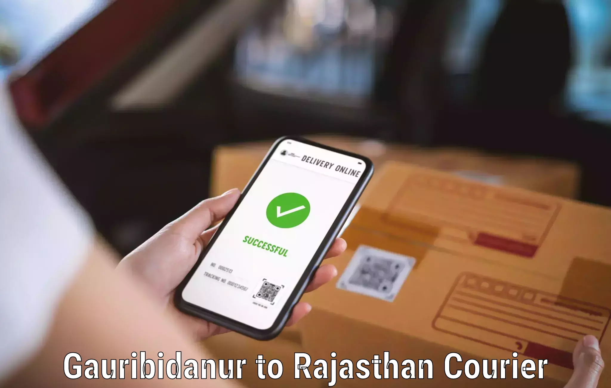 Efficient parcel delivery Gauribidanur to Pratapgarh Rajasthan