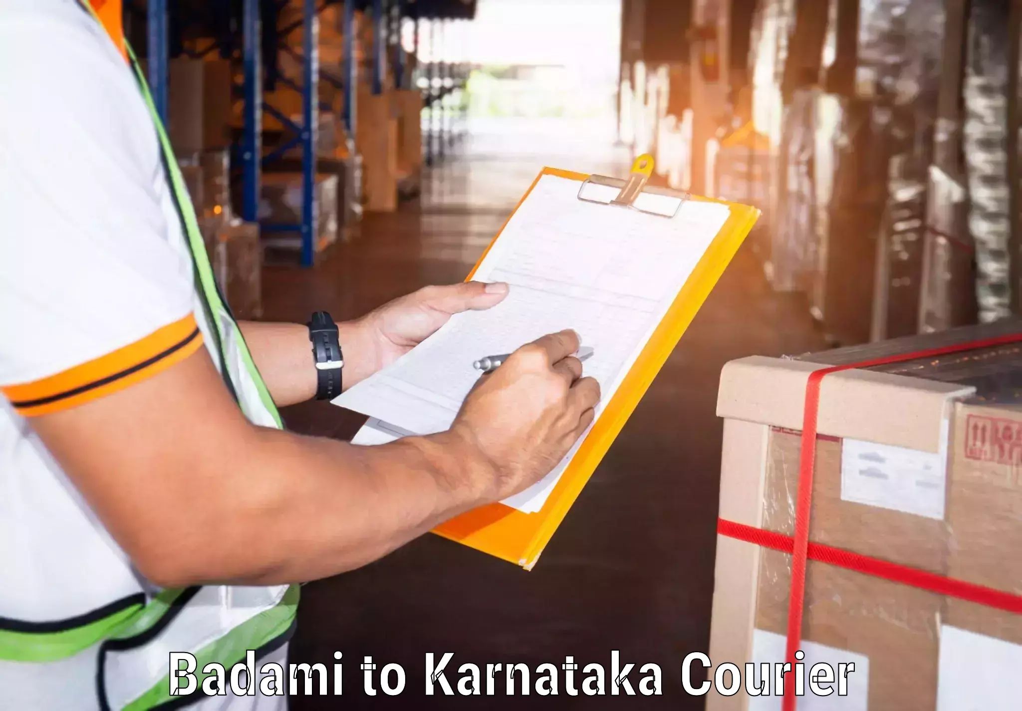 Multi-service courier options Badami to Malavalli