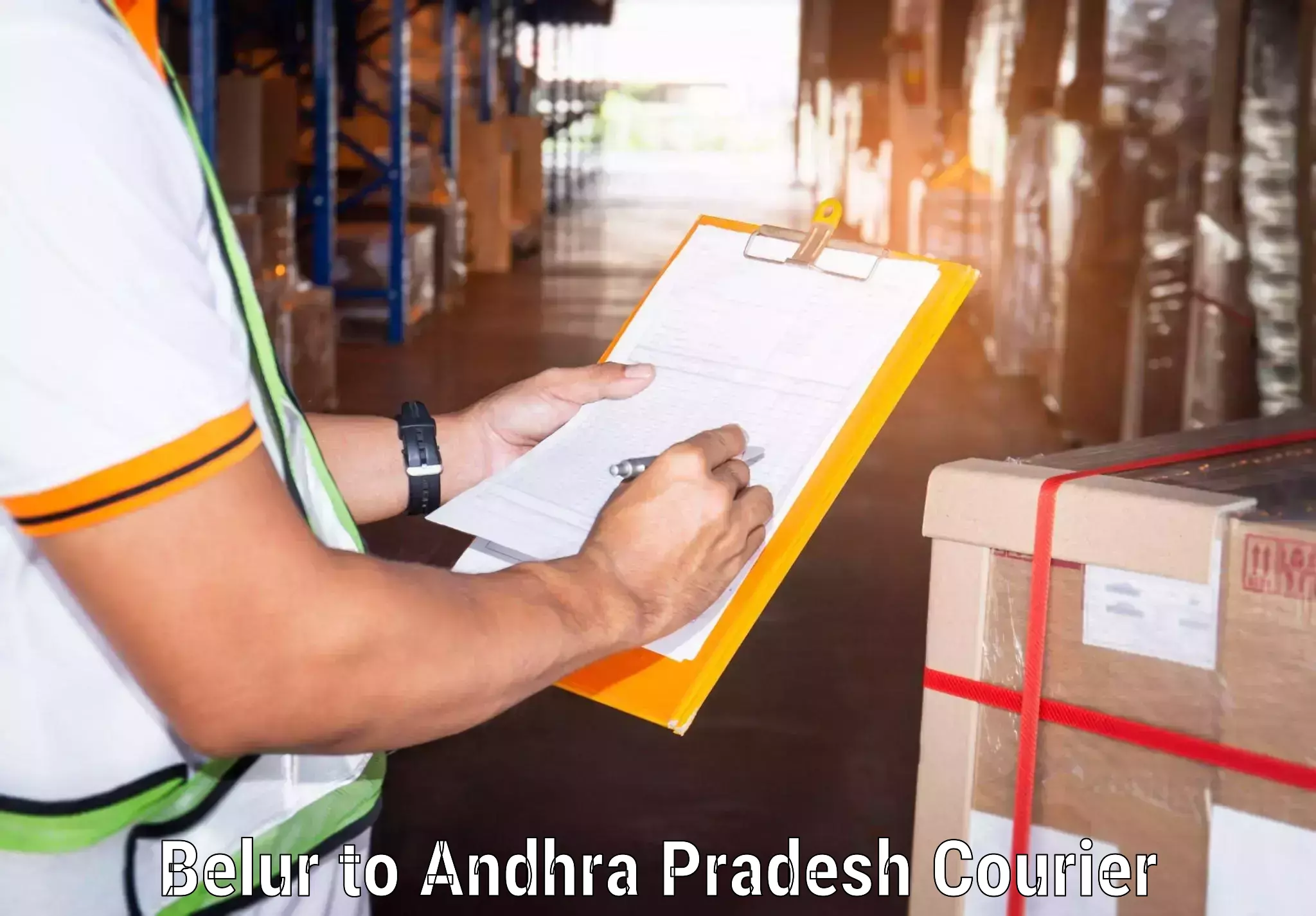 Pharmaceutical courier Belur to NIT Andhra Pradesh