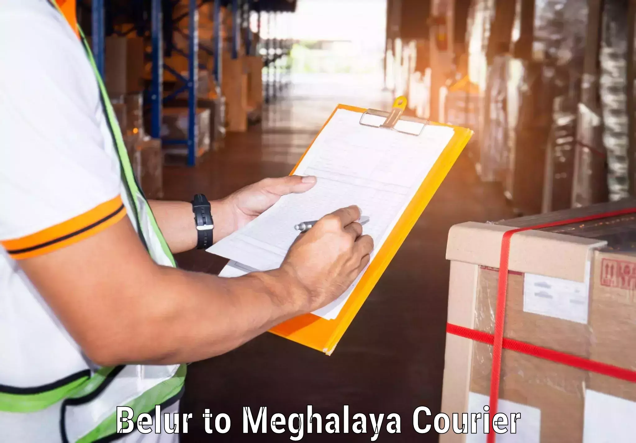 Large package courier Belur to Jowai