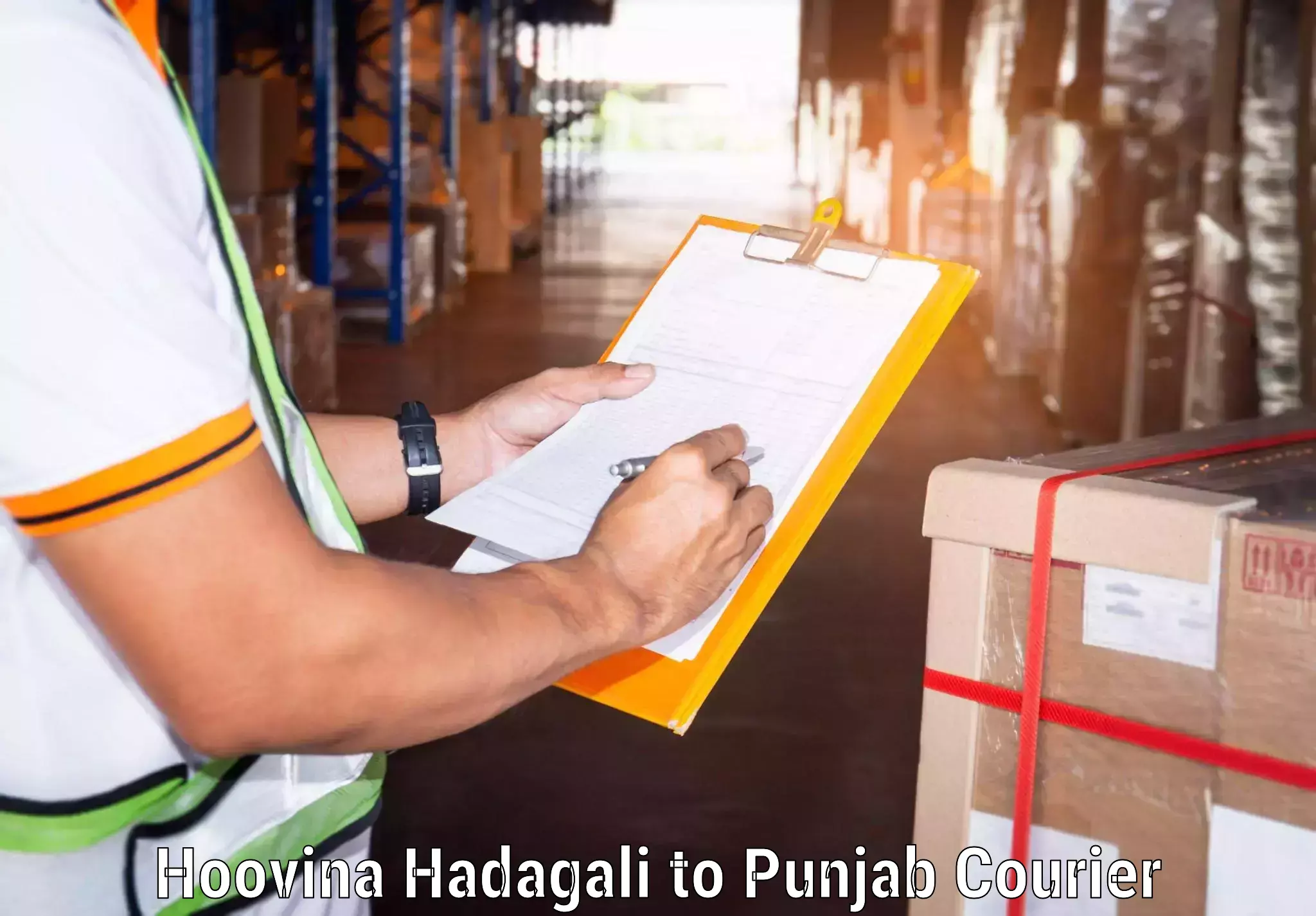 Reliable package handling Hoovina Hadagali to Jalandhar