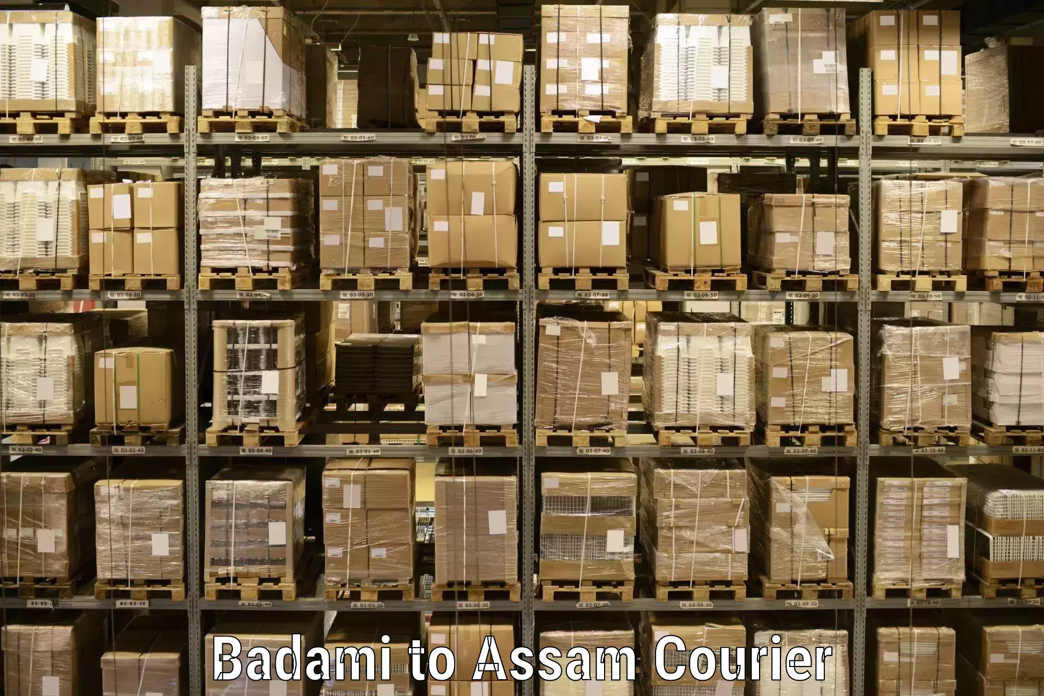 User-friendly courier app Badami to Balipara