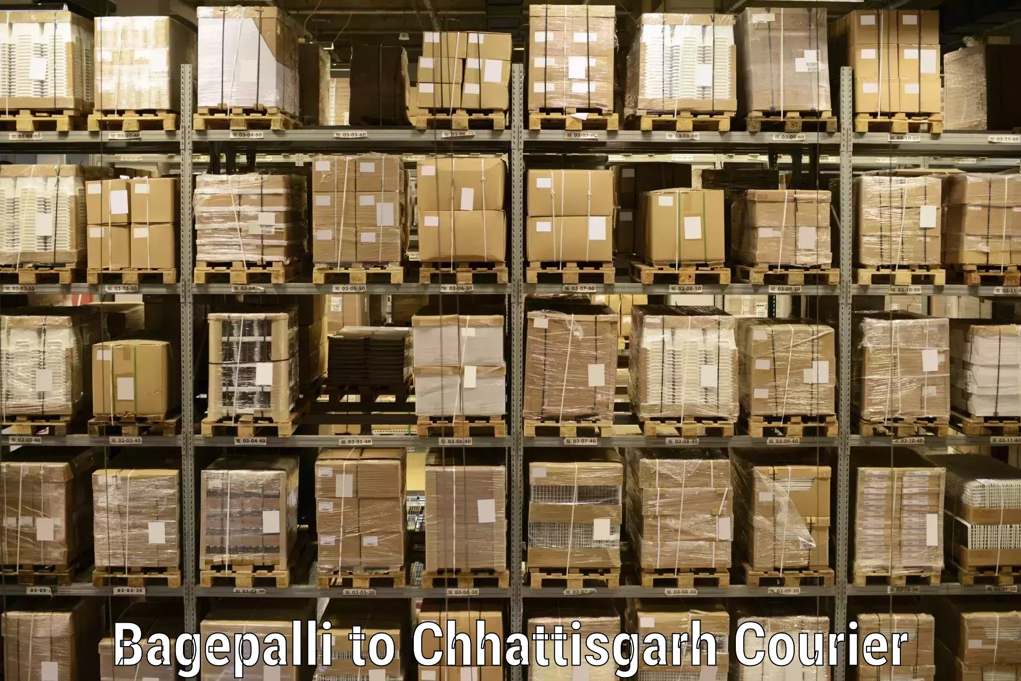 Express logistics providers Bagepalli to Jashpur