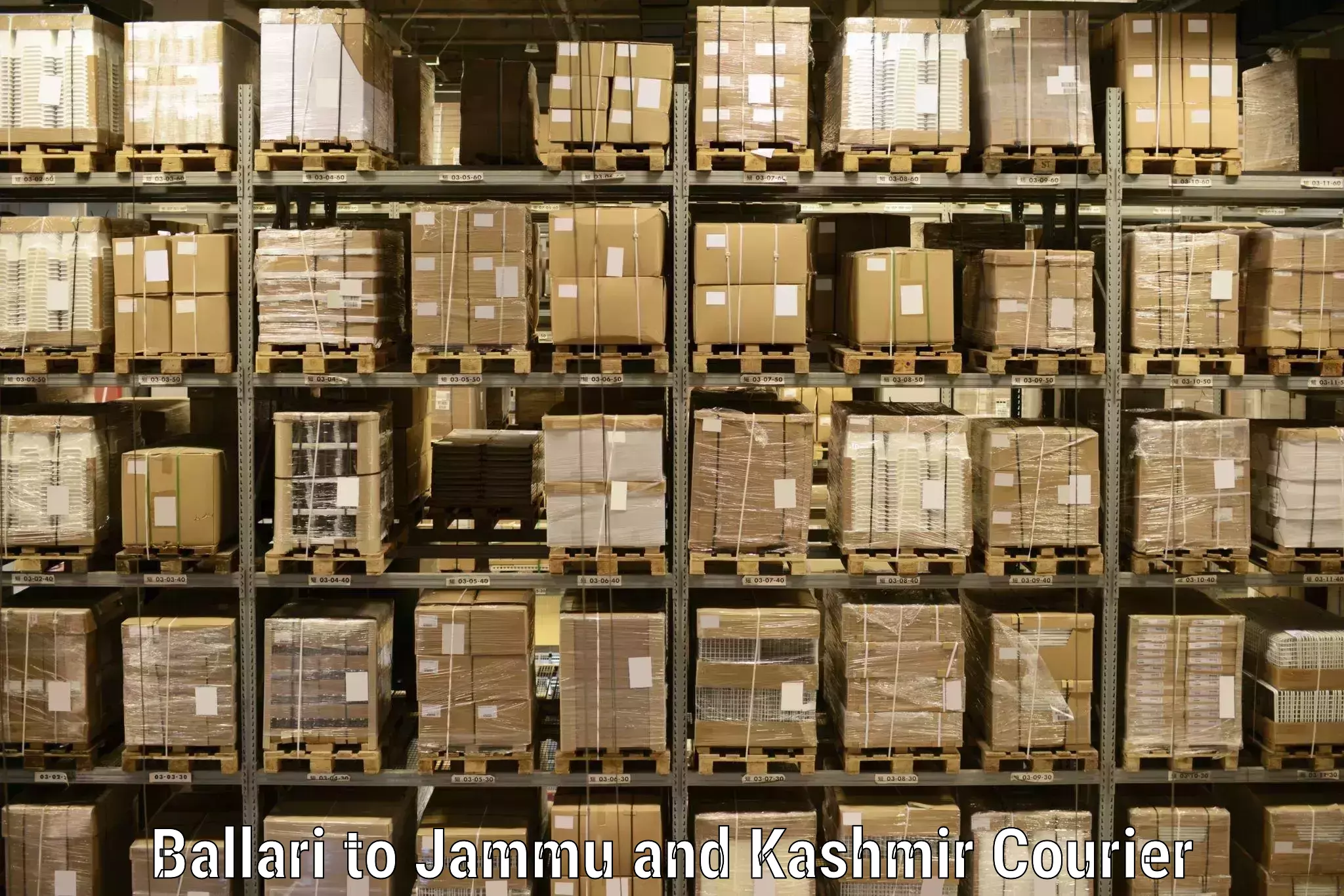 Global freight services Ballari to Jammu and Kashmir
