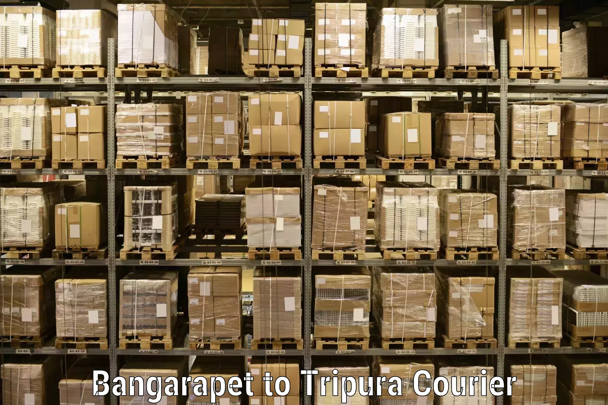 Expedited parcel delivery Bangarapet to Agartala