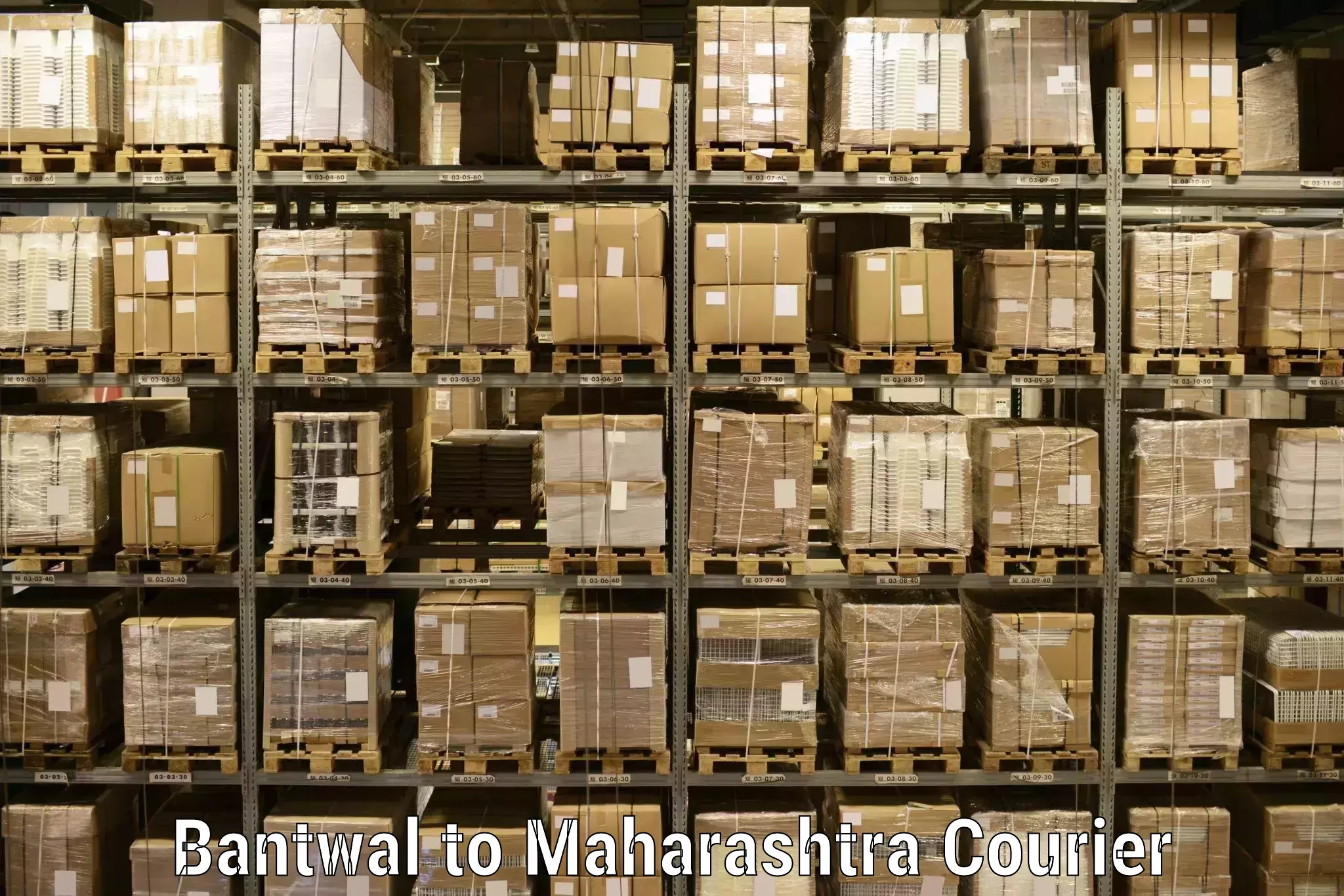 Regular parcel service Bantwal to Mangrulpir