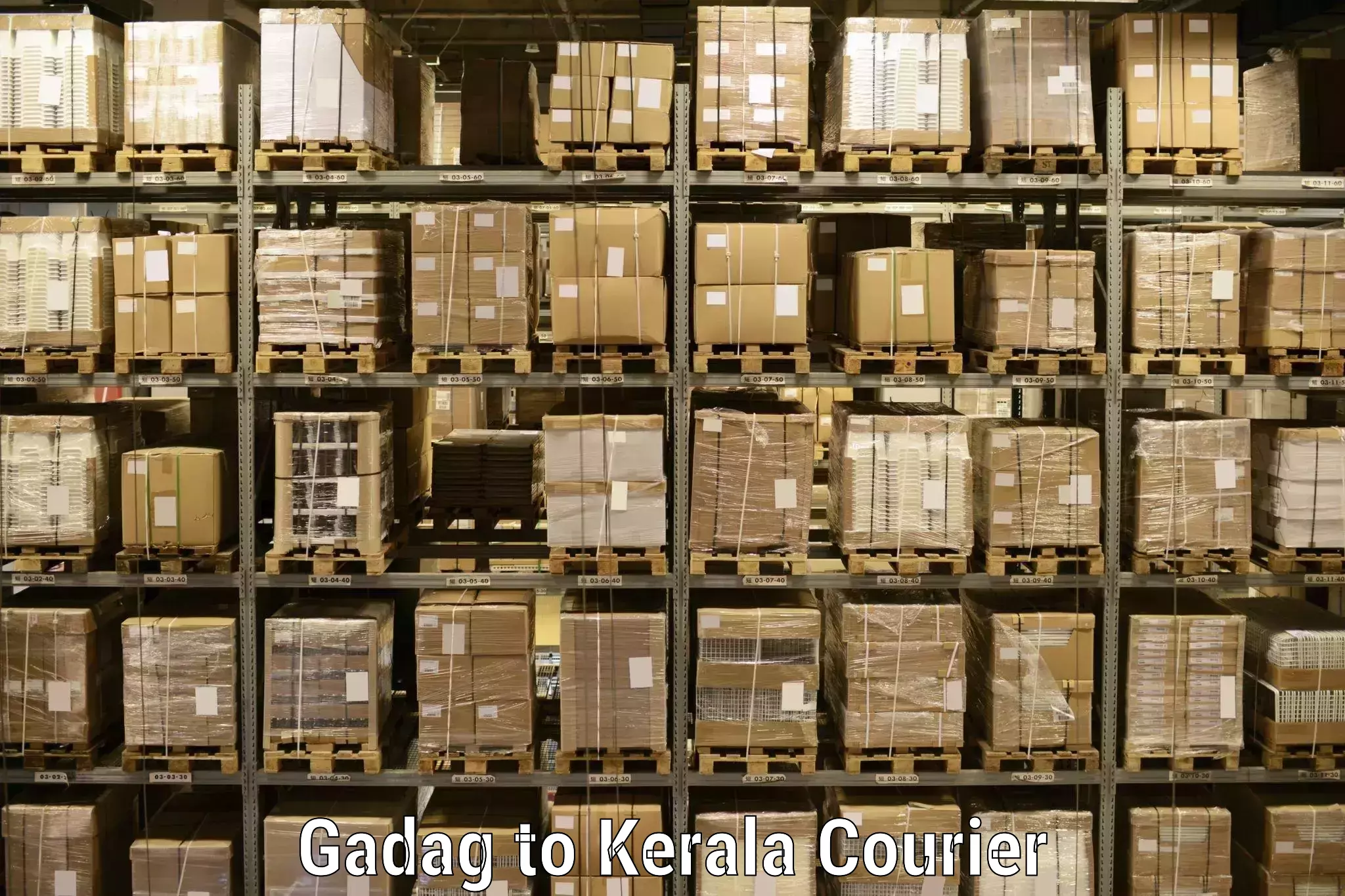 Secure shipping methods Gadag to Palakkad