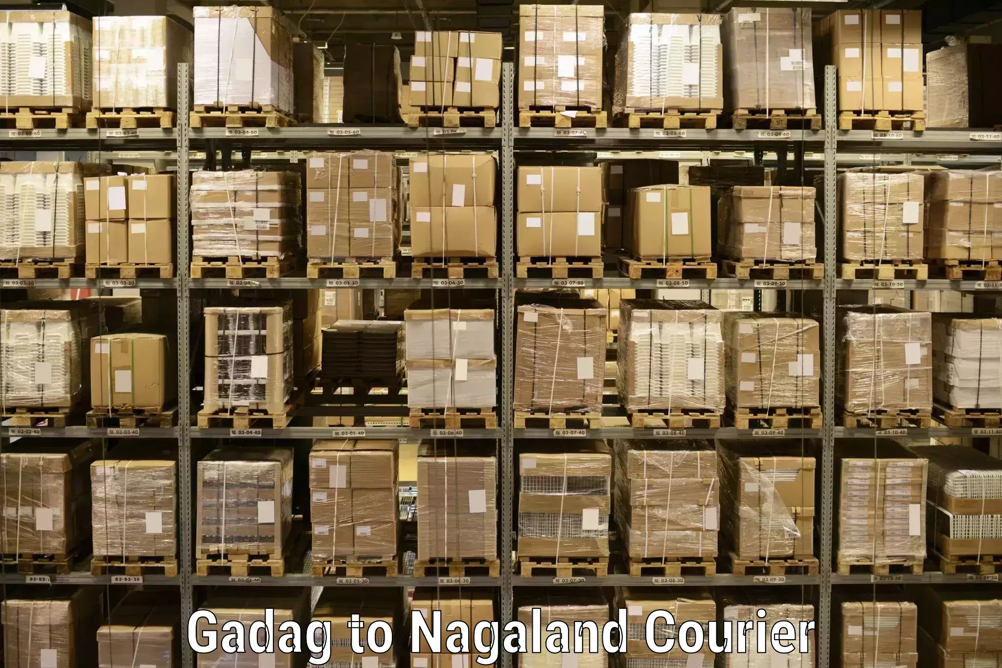 Modern parcel services Gadag to Kohima