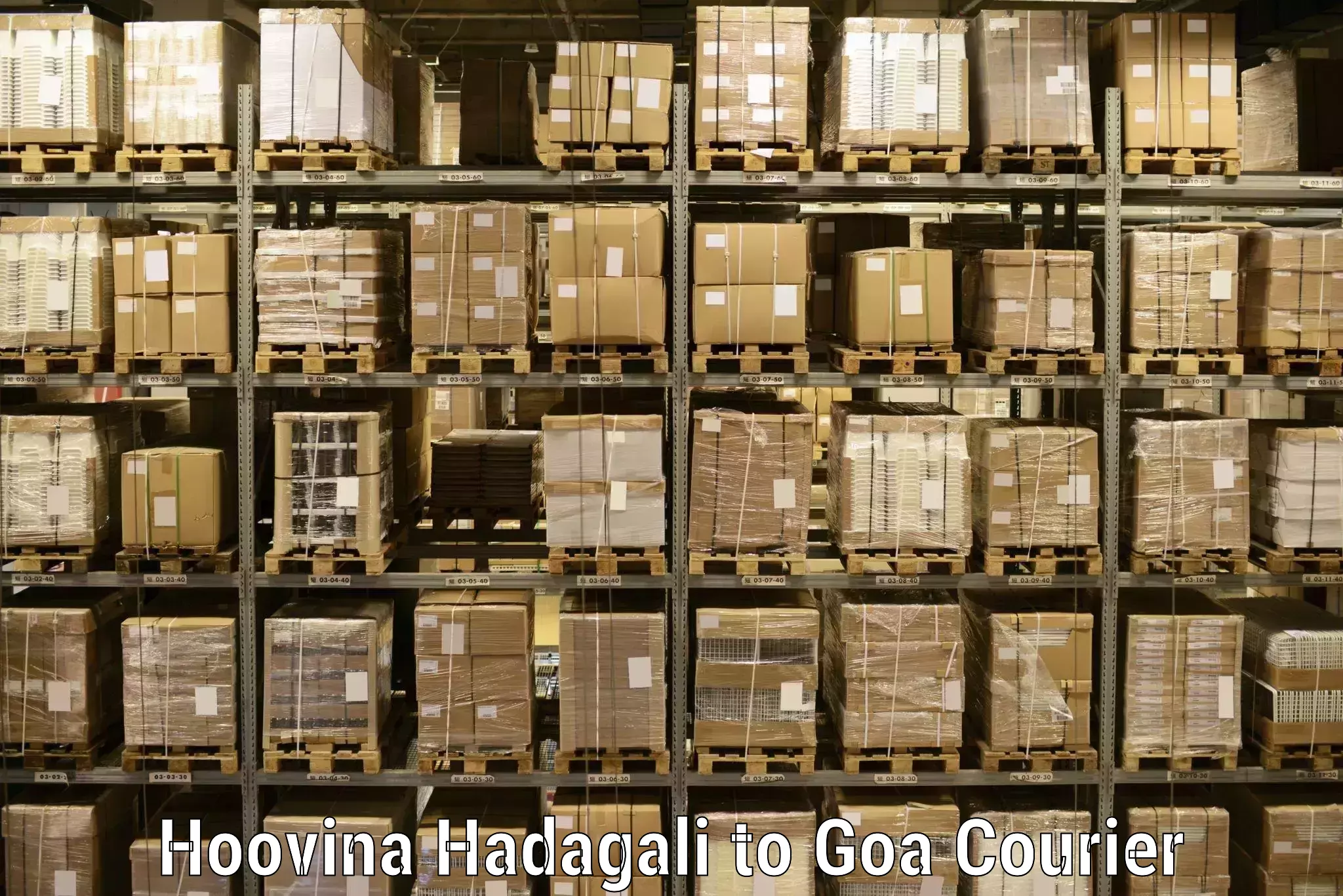 Global shipping networks in Hoovina Hadagali to Goa