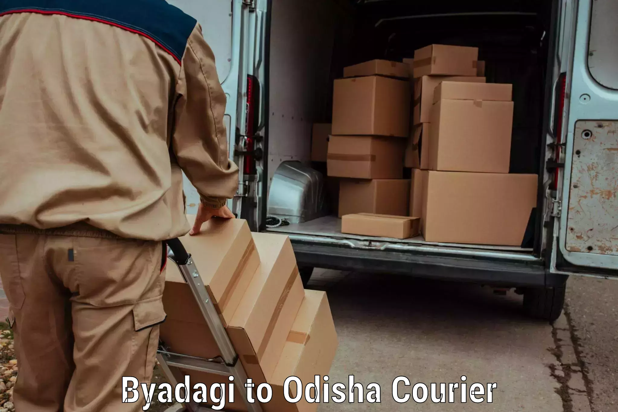 Global parcel delivery Byadagi to Aul