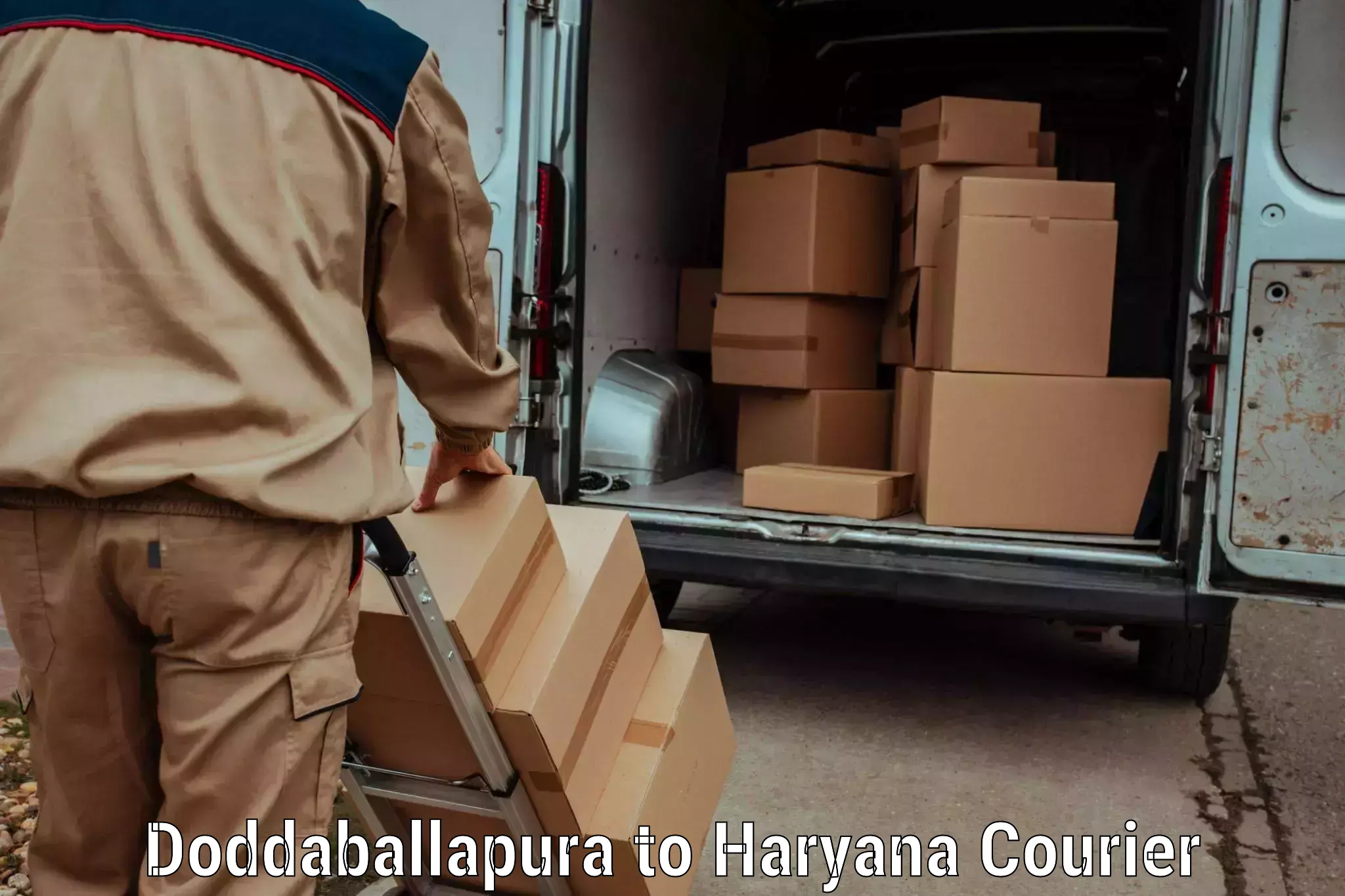 High-capacity parcel service Doddaballapura to Rewari