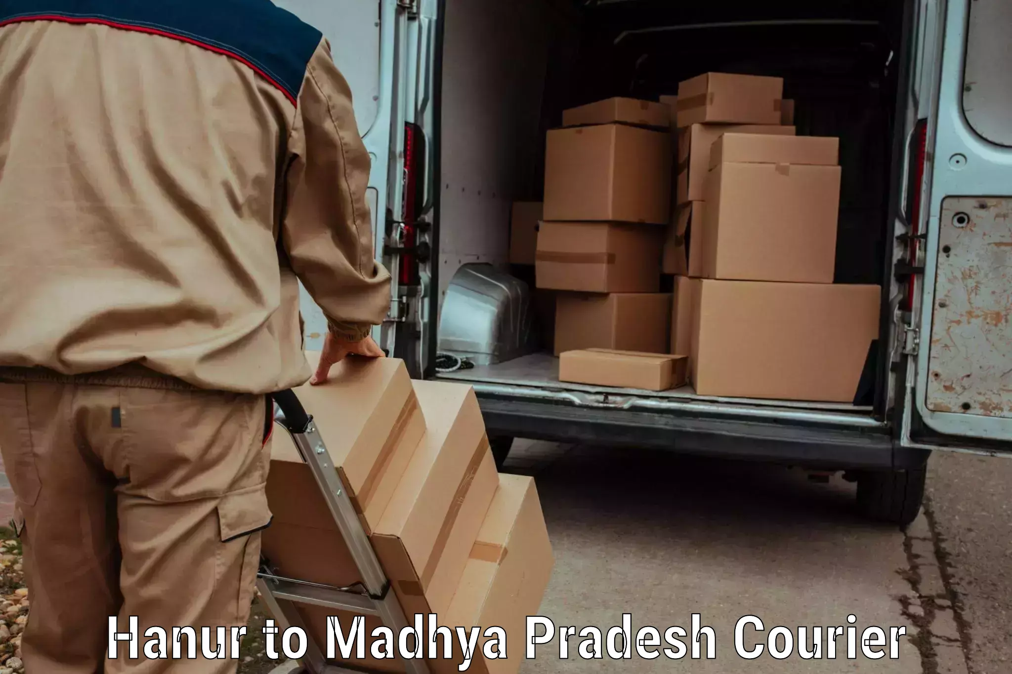 Wholesale parcel delivery in Hanur to Khirkiya
