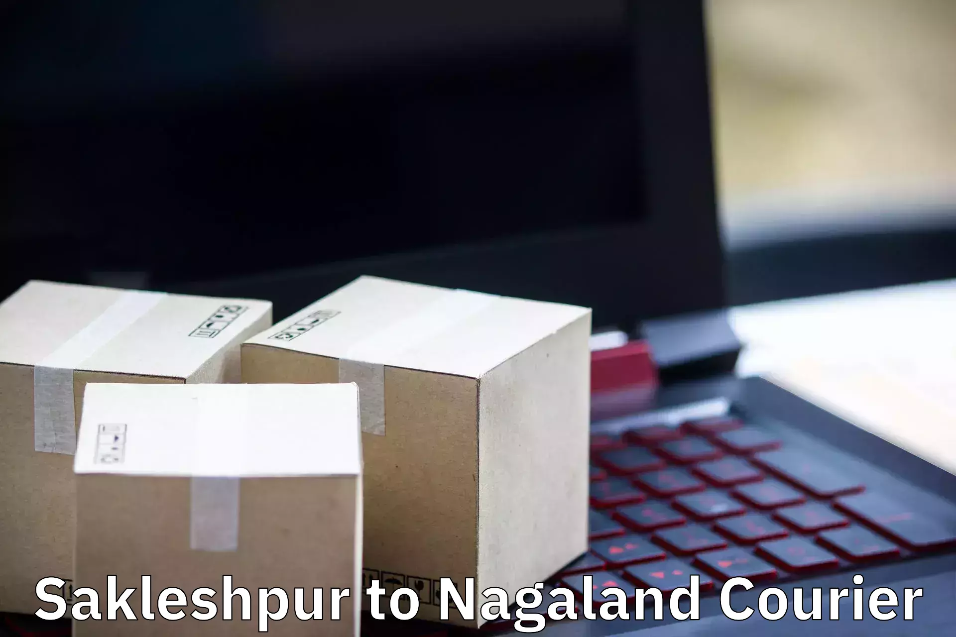 Custom relocation solutions Sakleshpur to NIT Nagaland