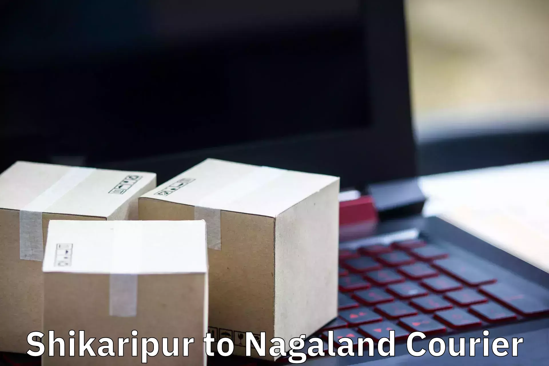 Quality furniture transport Shikaripur to NIT Nagaland