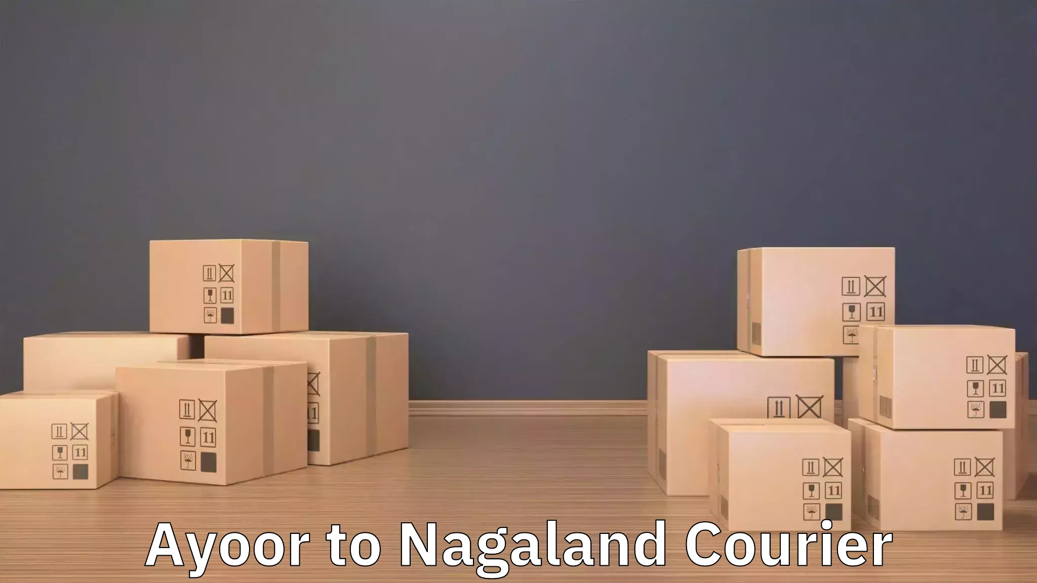 Furniture moving assistance Ayoor to Nagaland