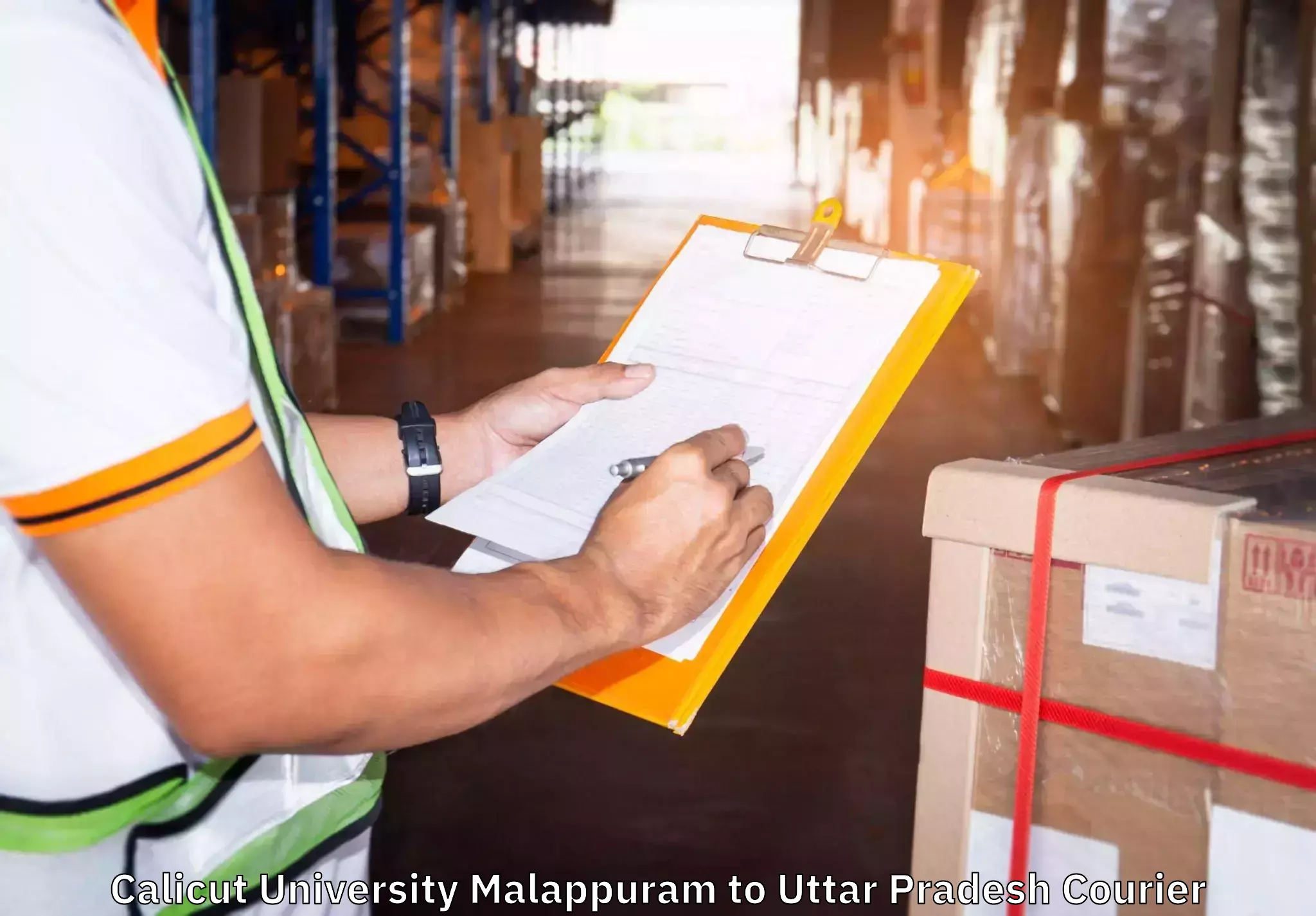 Efficient moving strategies Calicut University Malappuram to Anupshahar