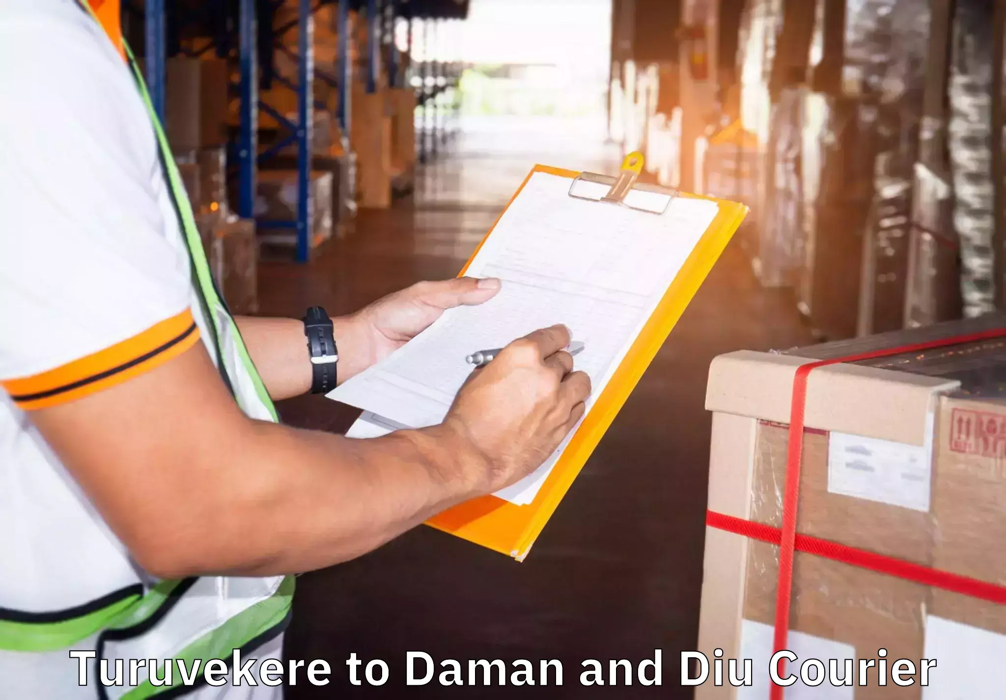 Quality relocation services Turuvekere to Daman and Diu