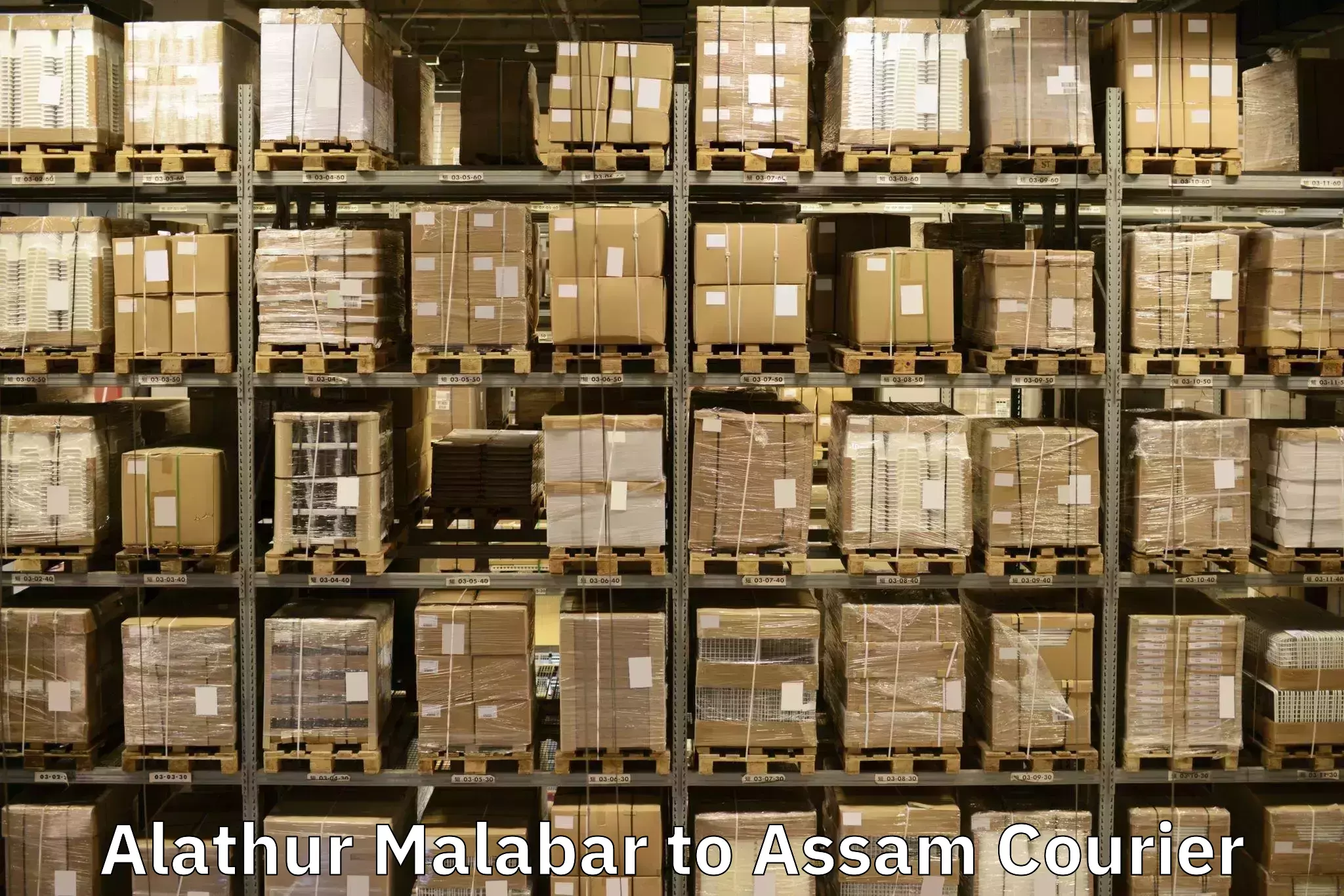 Household moving strategies Alathur Malabar to Sarthebari