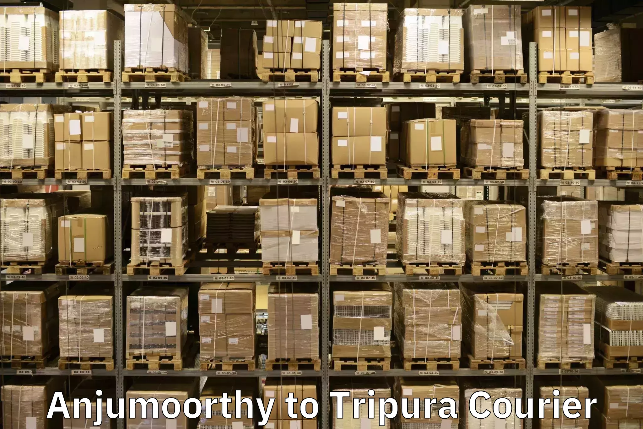 Comprehensive goods transport Anjumoorthy to South Tripura