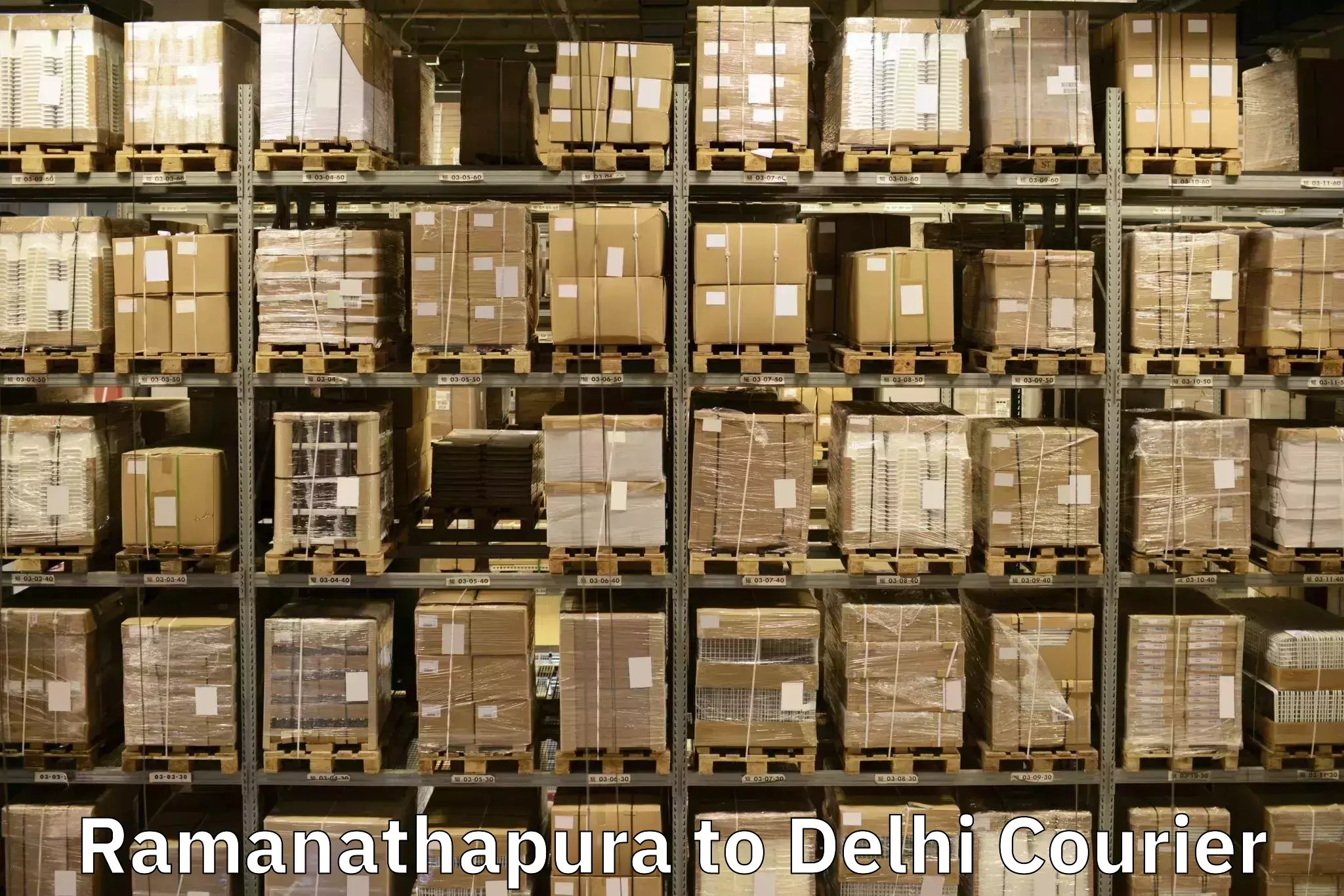 Household goods transport Ramanathapura to Guru Gobind Singh Indraprastha University New Delhi