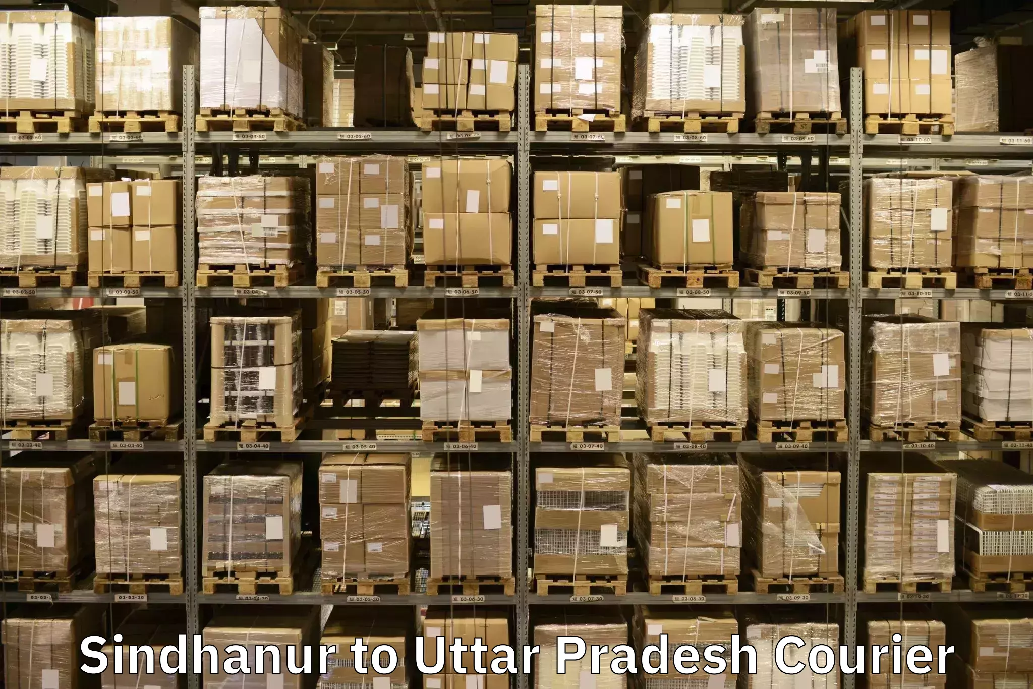 Professional furniture transport Sindhanur to Muskara
