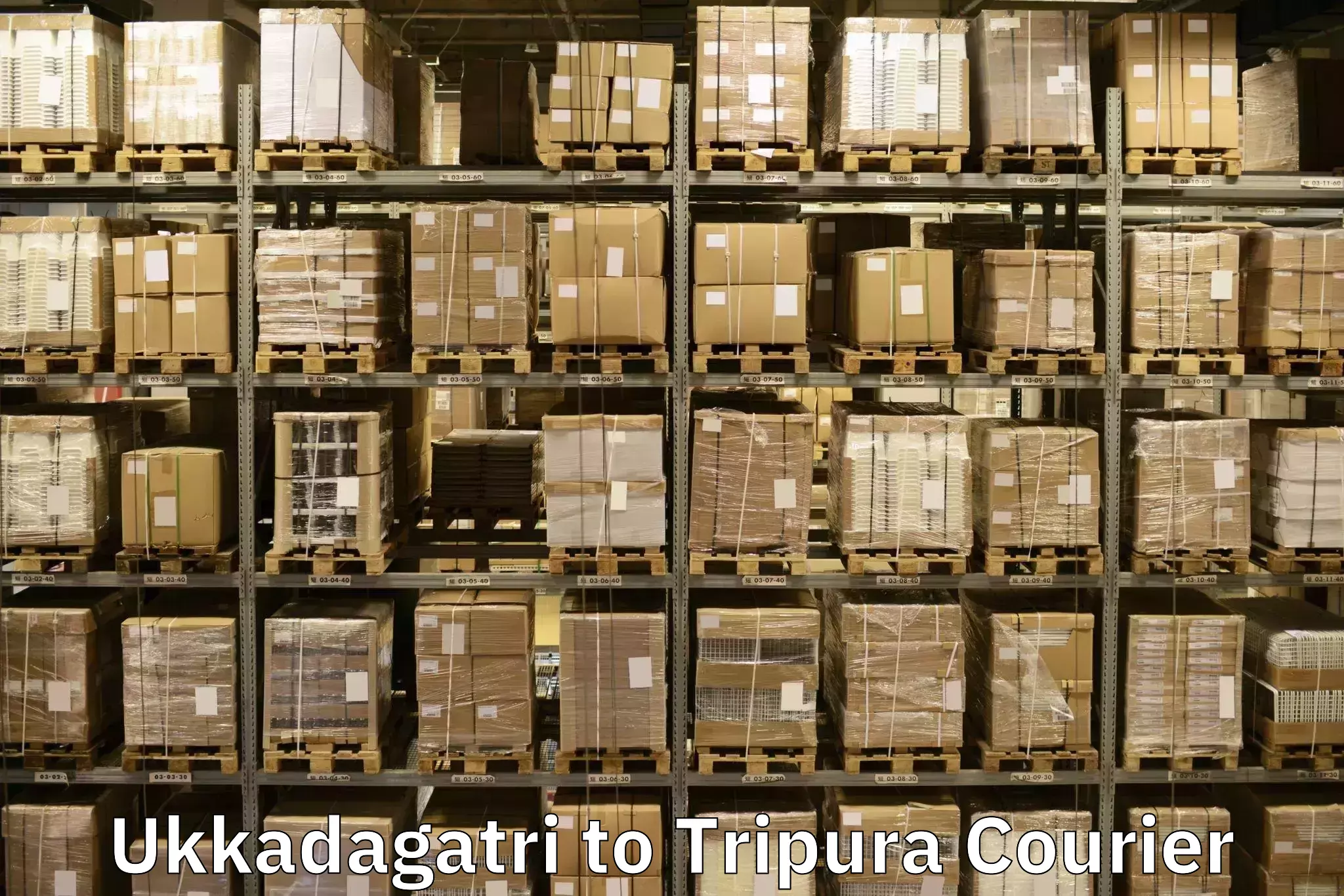 Professional moving assistance Ukkadagatri to Udaipur Tripura
