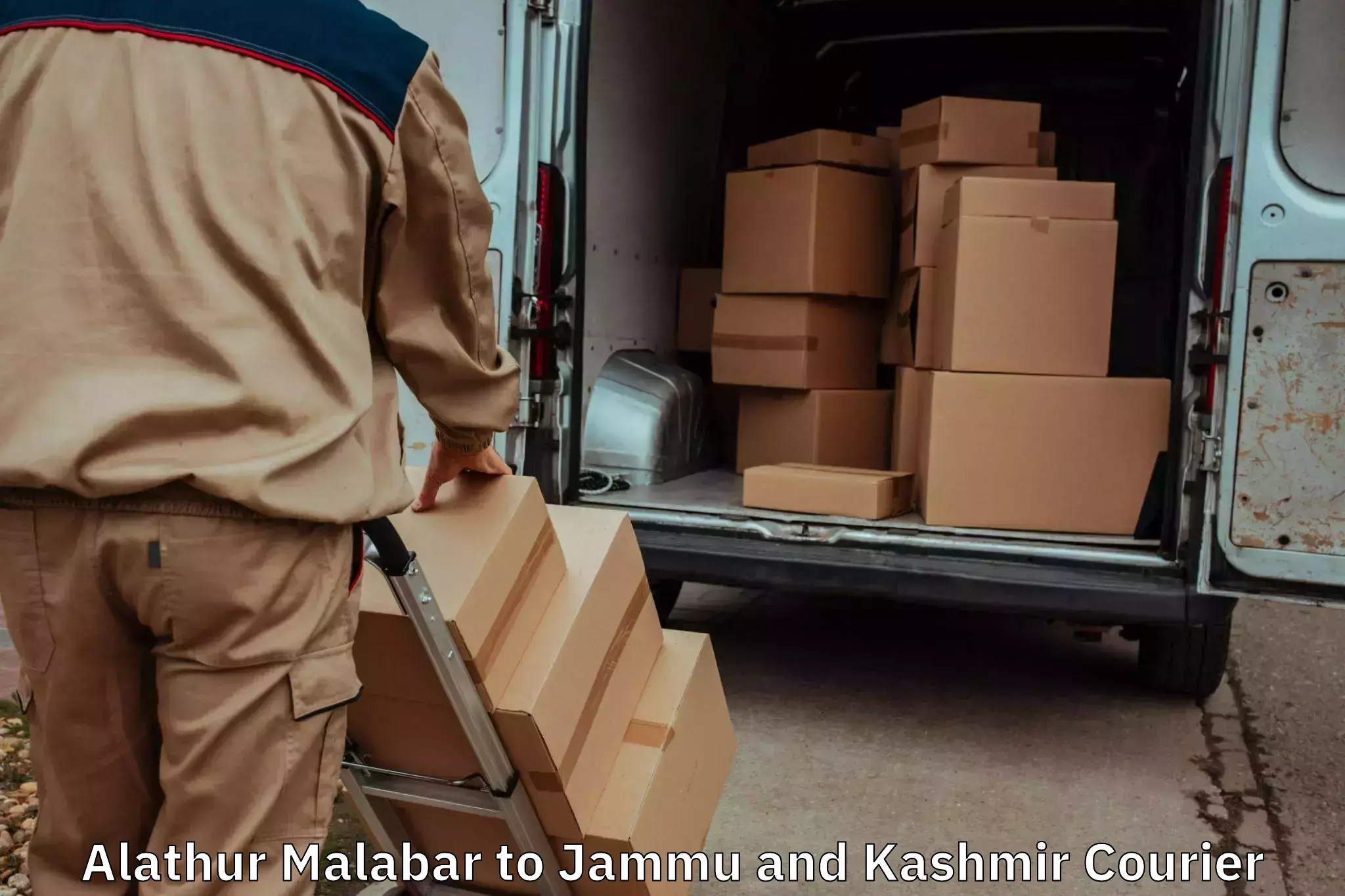 Household moving assistance Alathur Malabar to Srinagar Kashmir