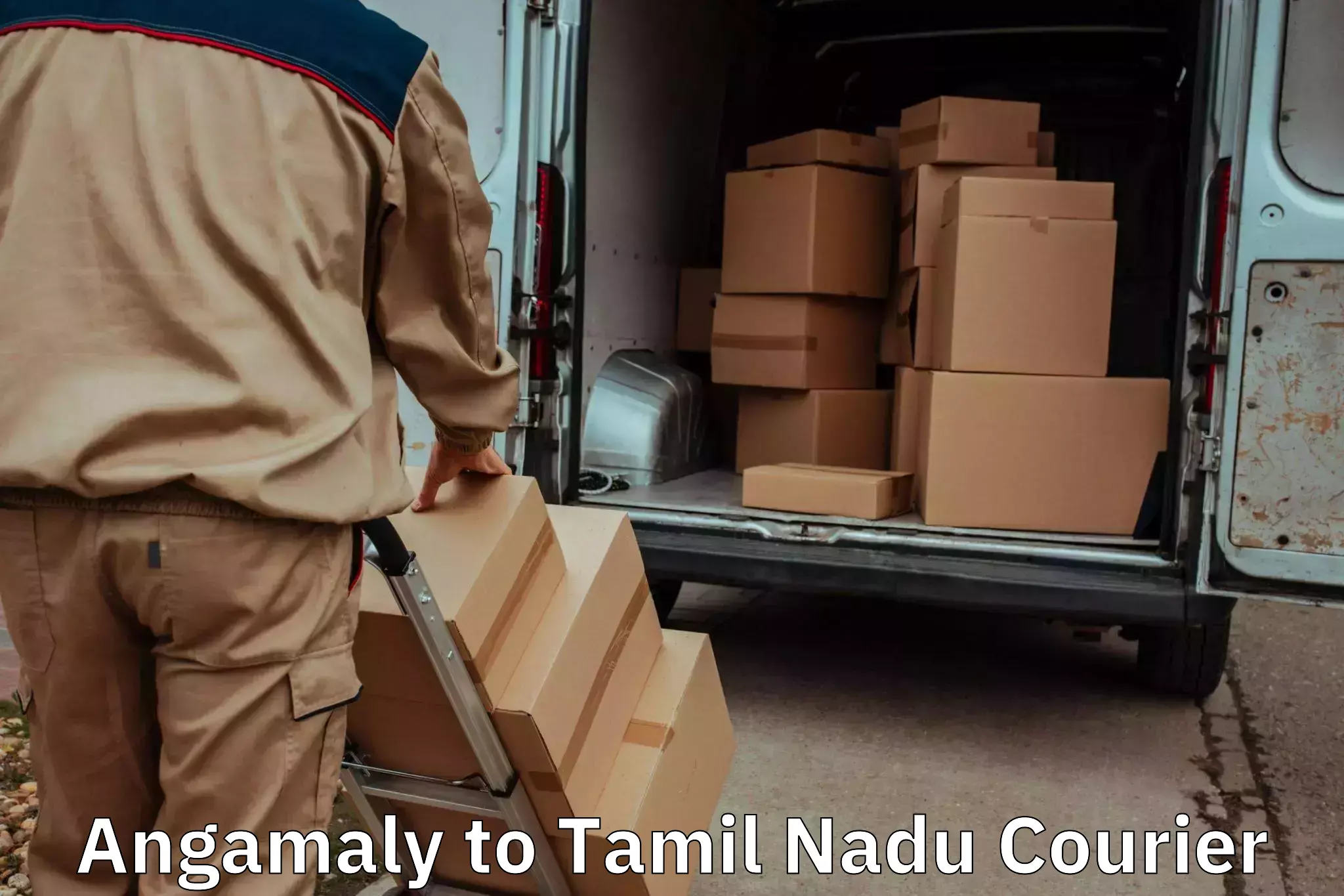 Professional furniture movers Angamaly to Manamadurai