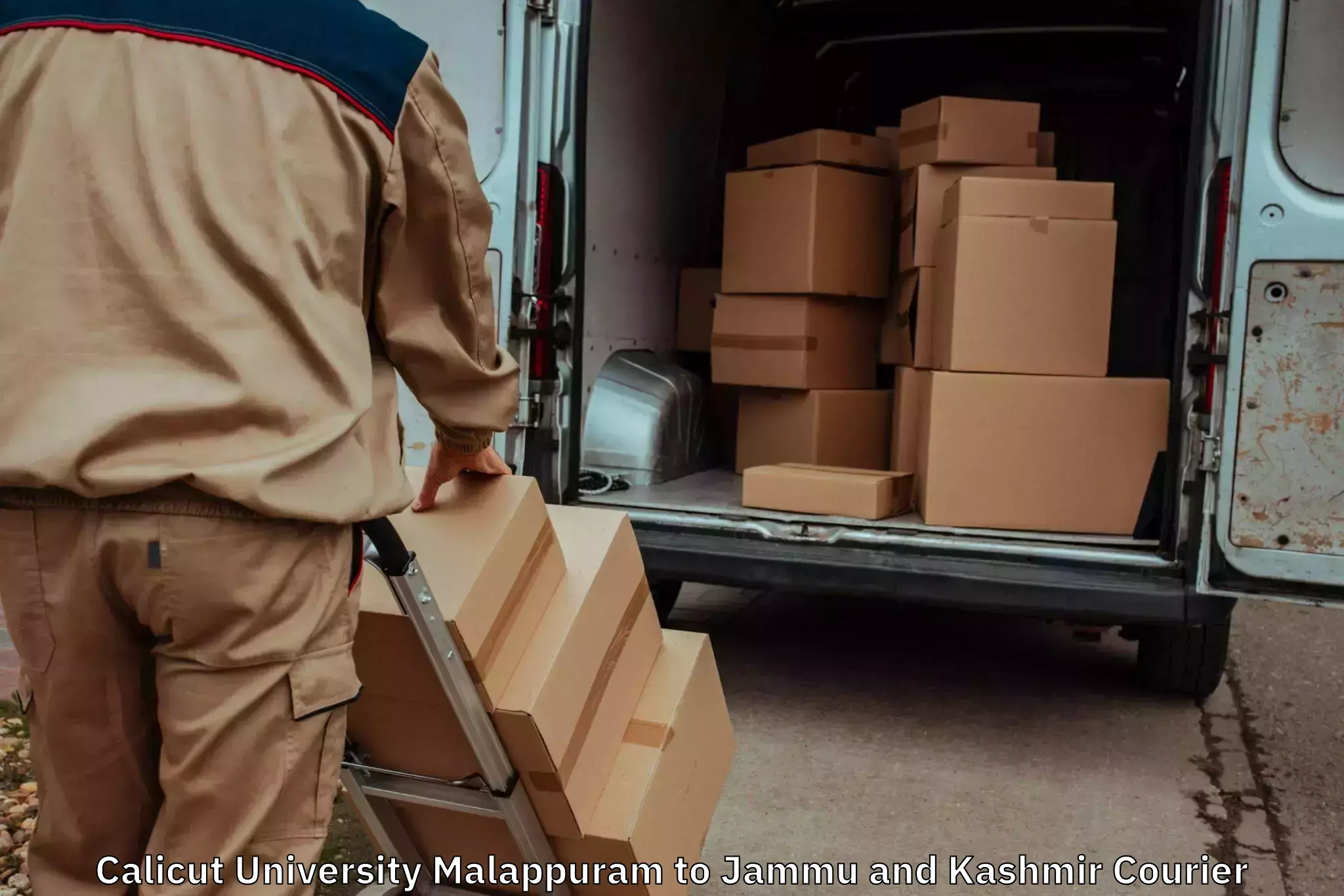 Reliable furniture movers Calicut University Malappuram to Shopian