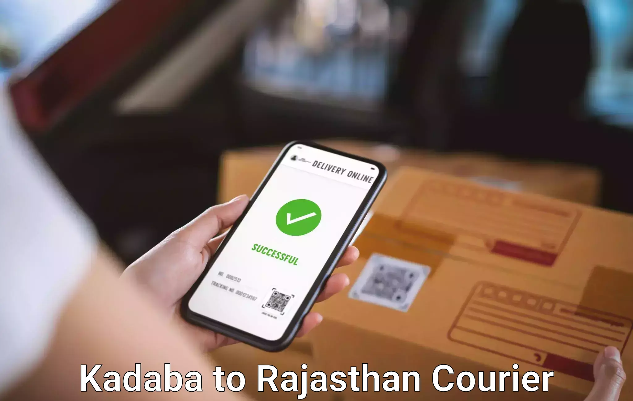 Luggage shipment strategy Kadaba to Rajasthan
