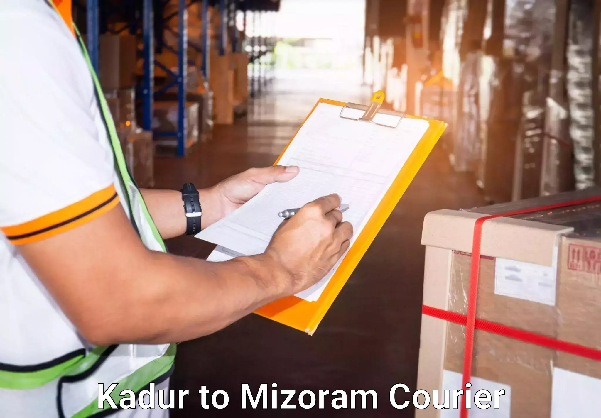 Luggage shipping specialists Kadur to Khawzawl