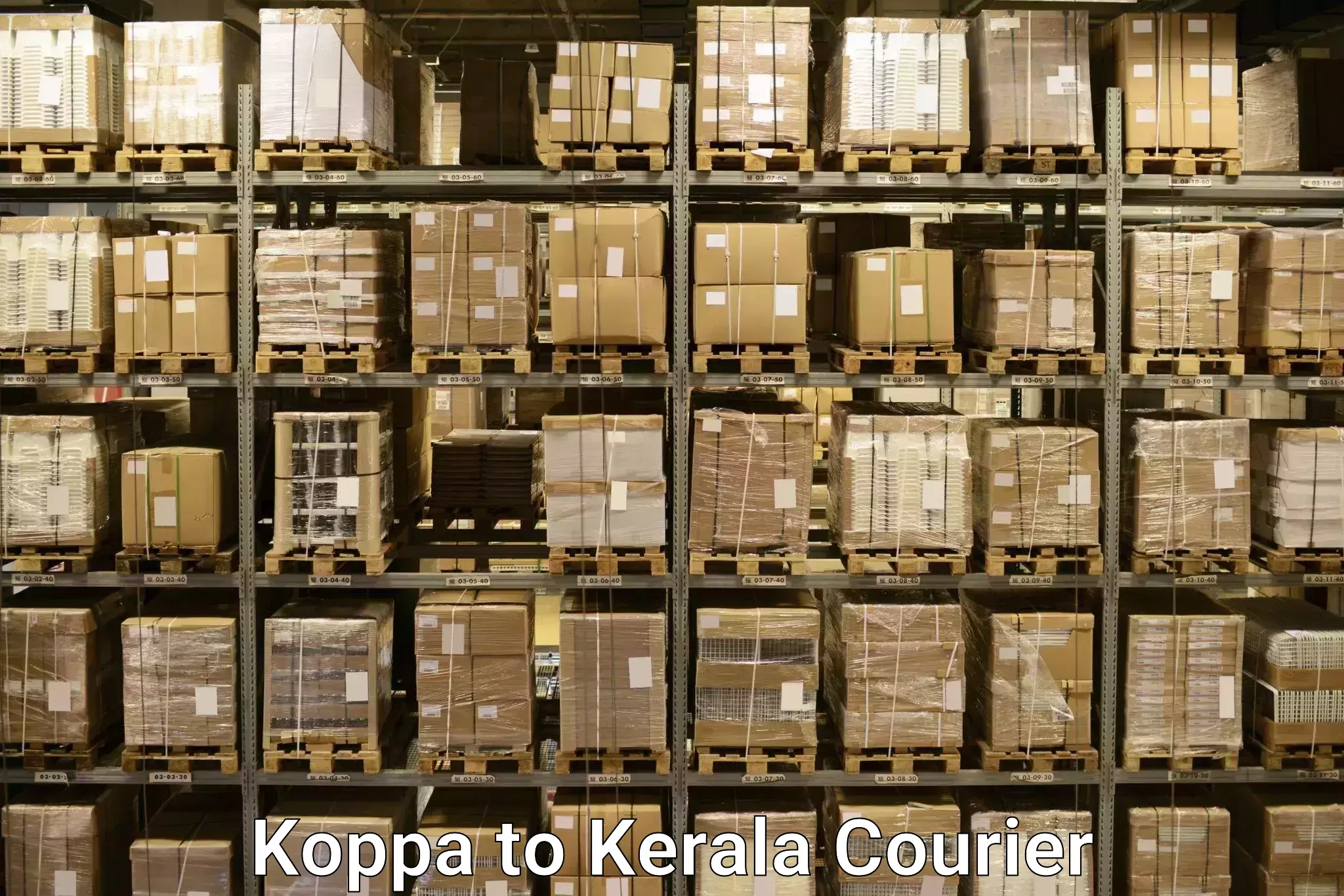 Flexible luggage courier service Koppa to Ezhupunna