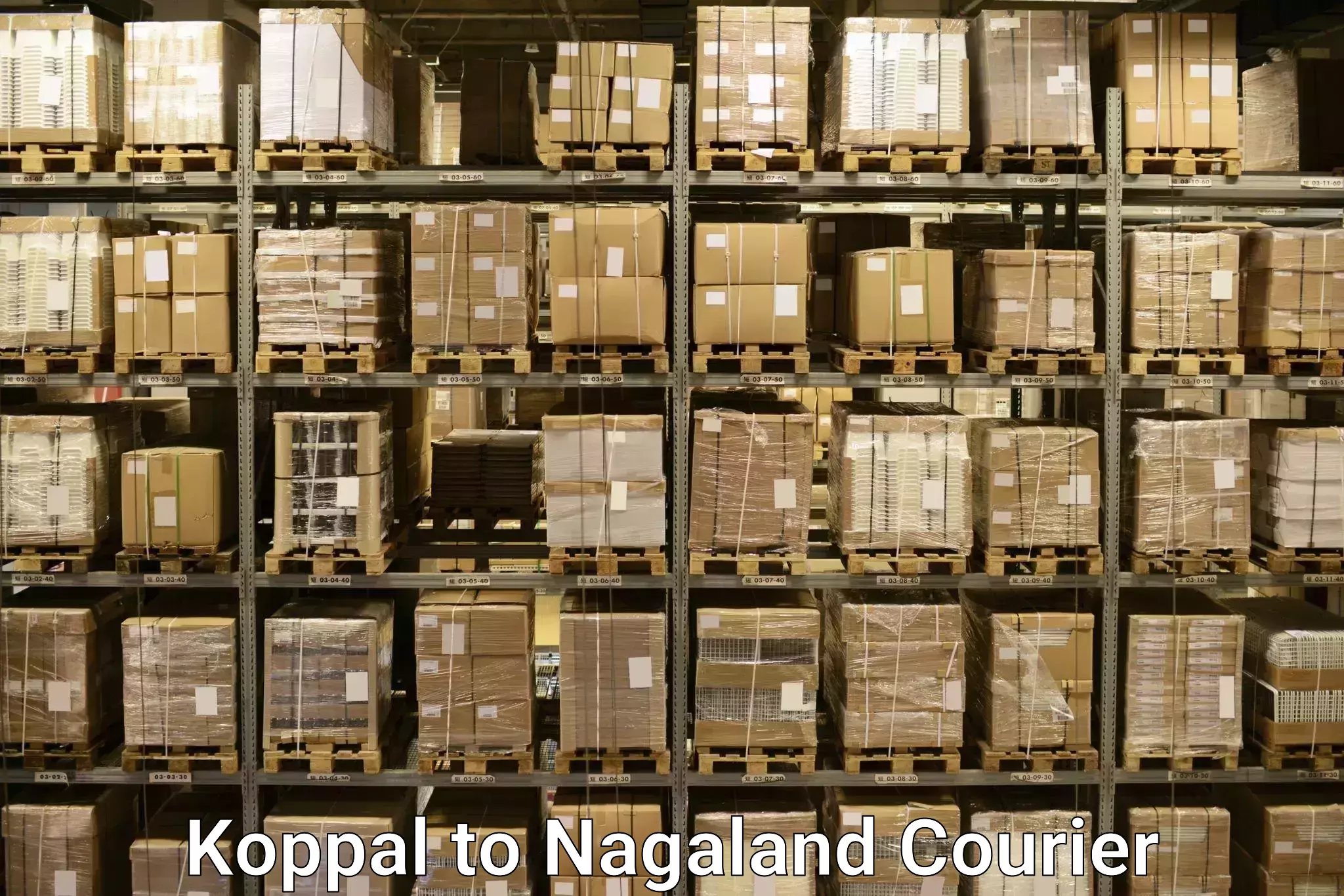 Expedited baggage courier Koppal to Nagaland