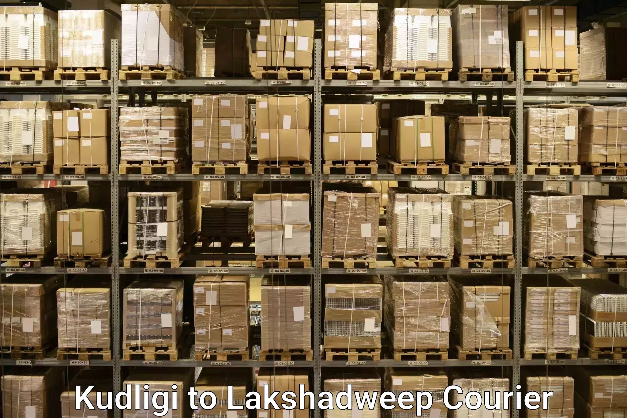 Luggage shipping service Kudligi to Lakshadweep
