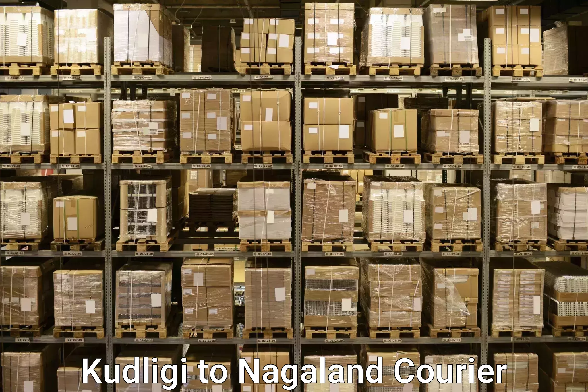Professional baggage transport in Kudligi to Nagaland