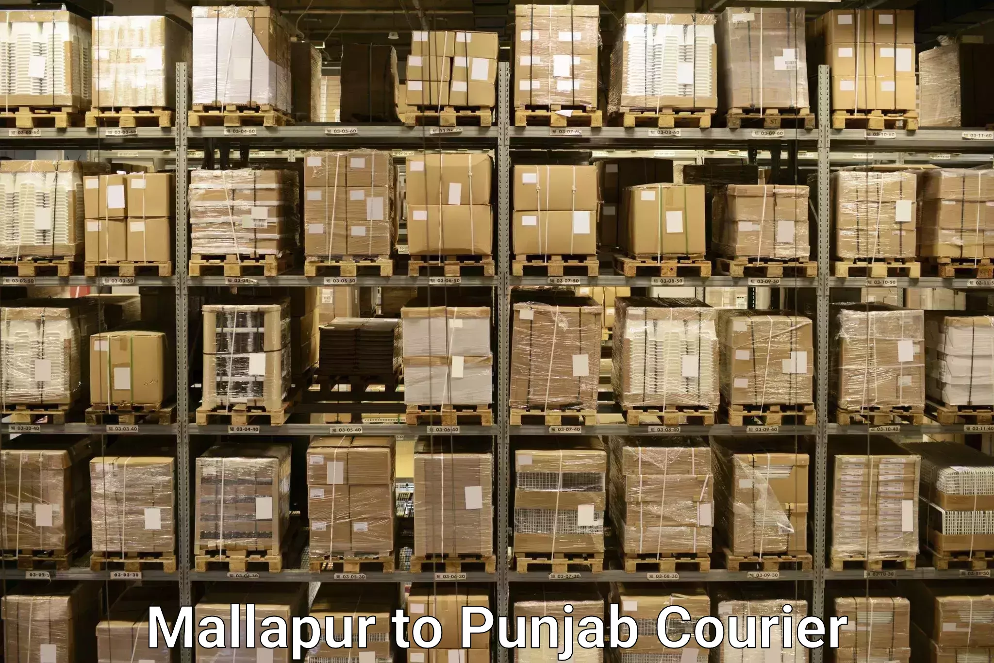 Overnight luggage courier Mallapur to Central University of Punjab Bathinda