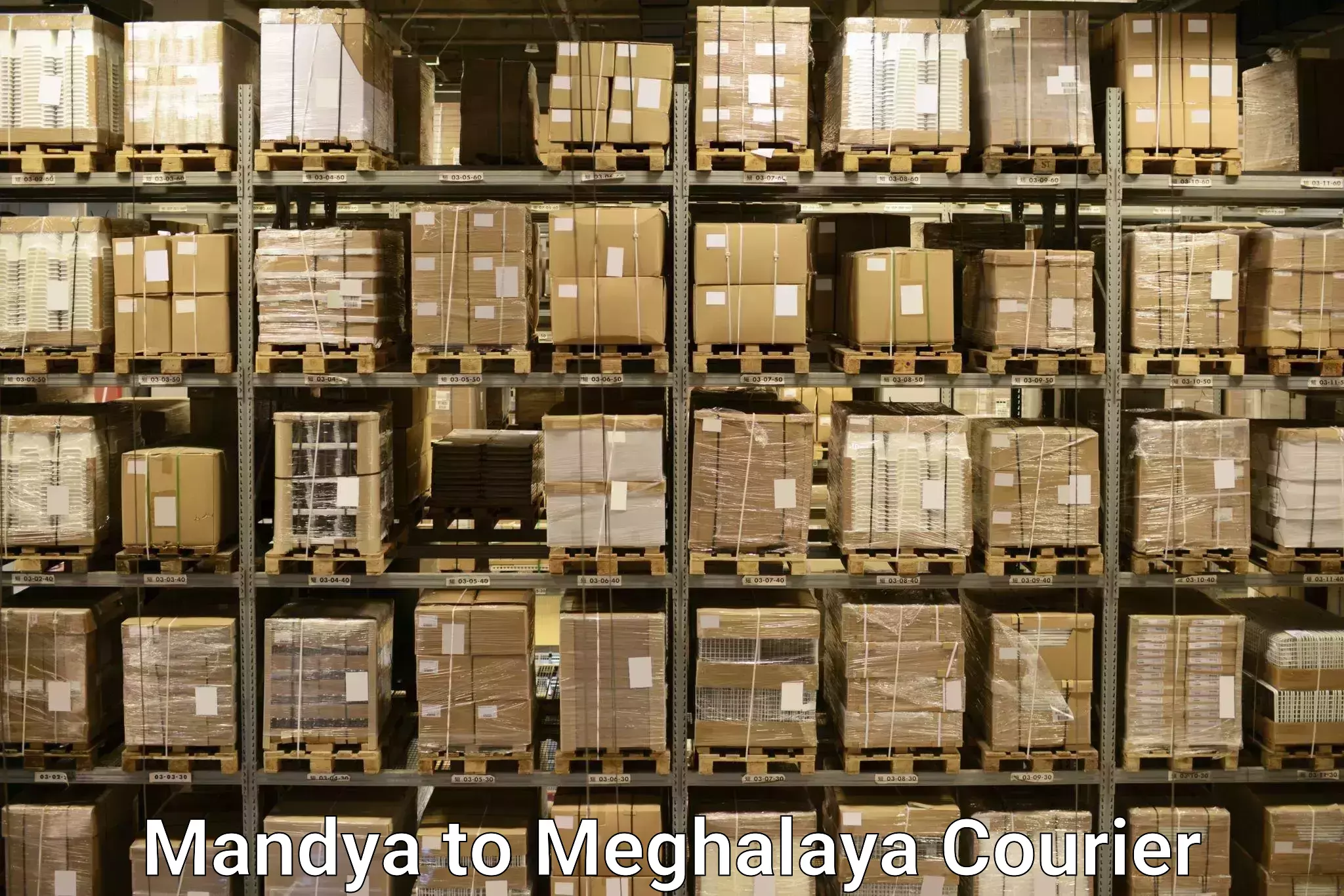 Baggage delivery scheduling Mandya to Nongstoin