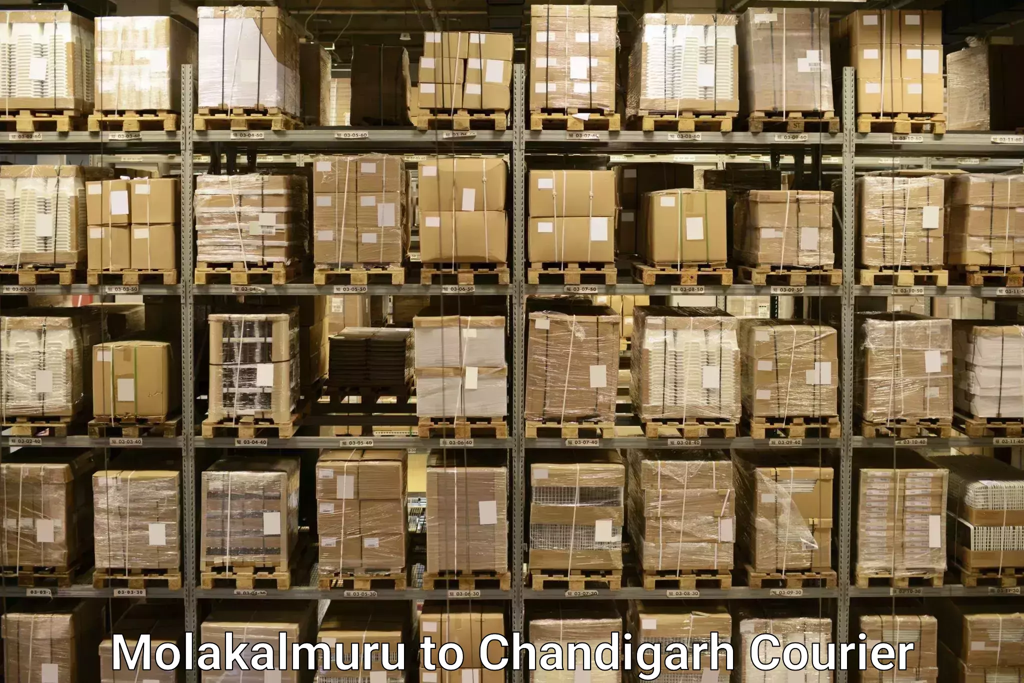 Luggage shipping trends Molakalmuru to Chandigarh