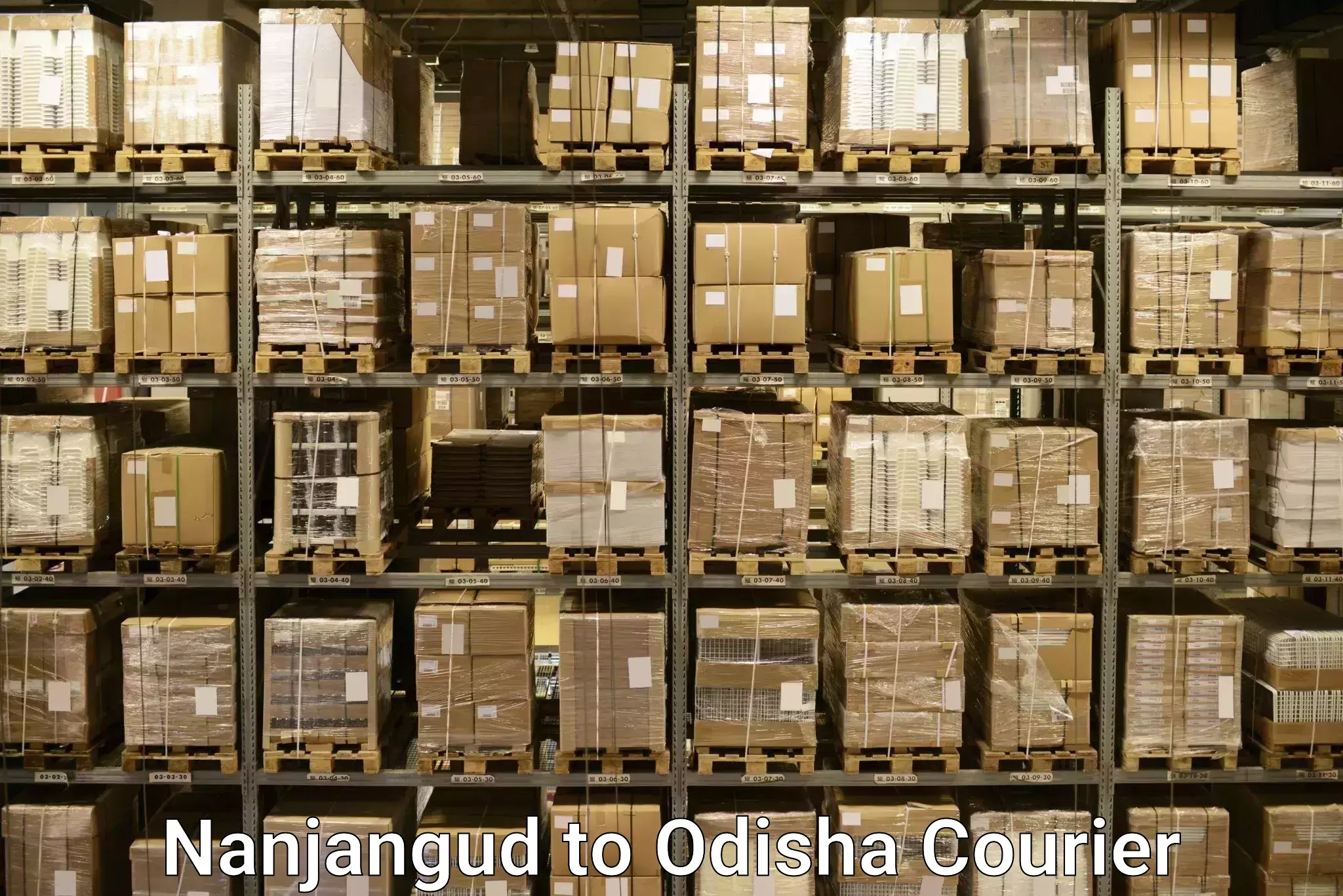Baggage courier optimization Nanjangud to Odisha