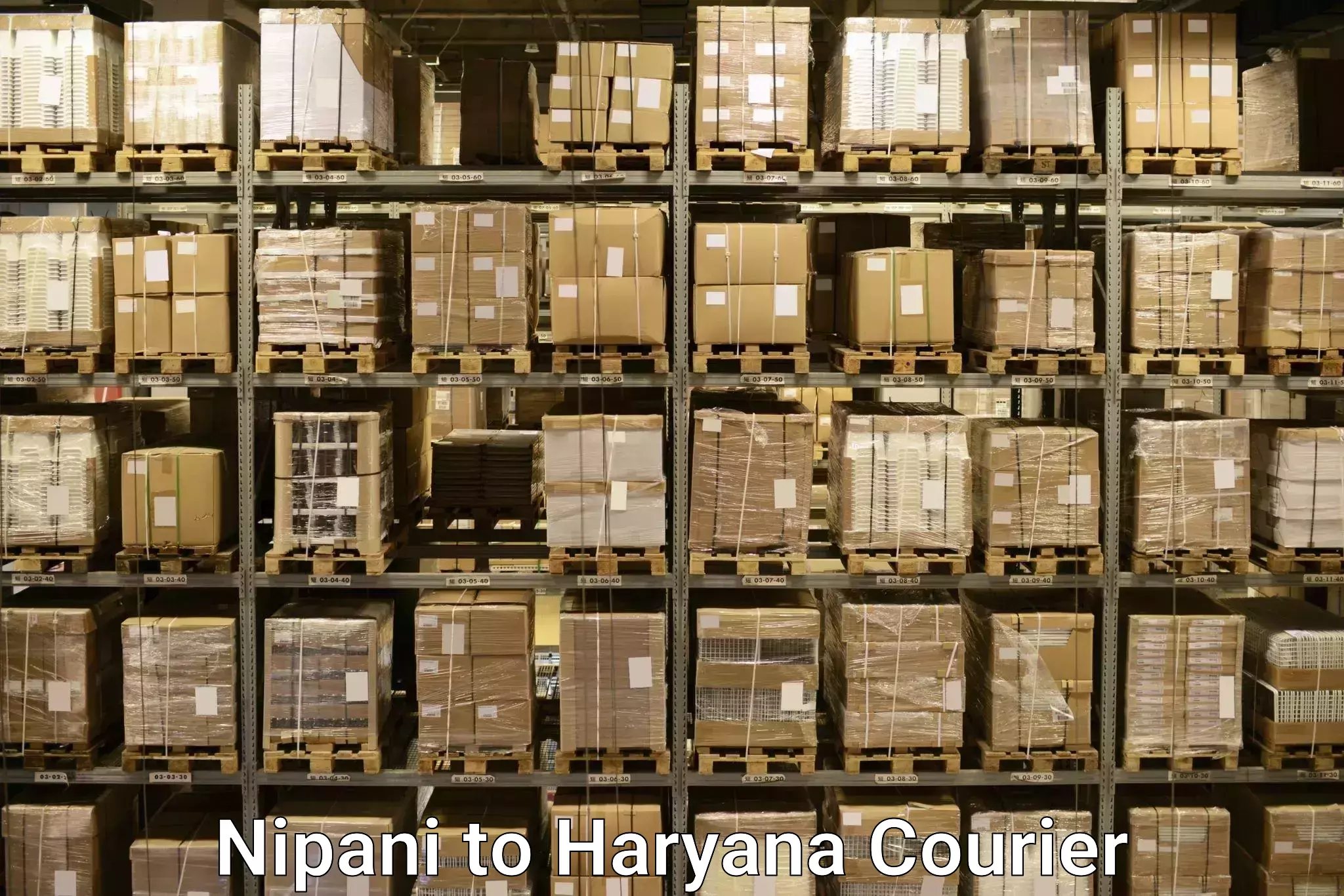 Luggage shipping logistics Nipani to NCR Haryana