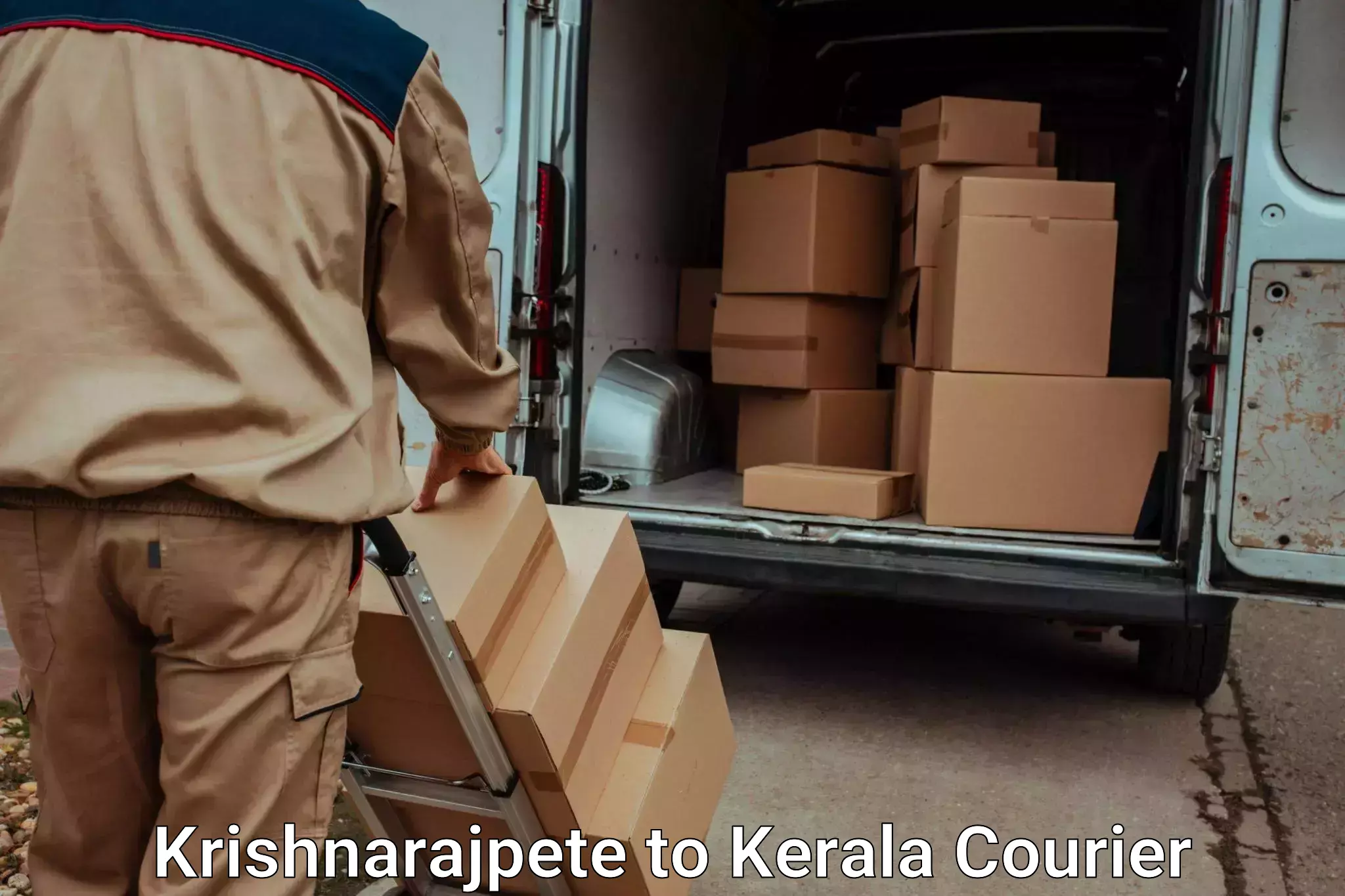 Door to door luggage delivery Krishnarajpete to Chervathur