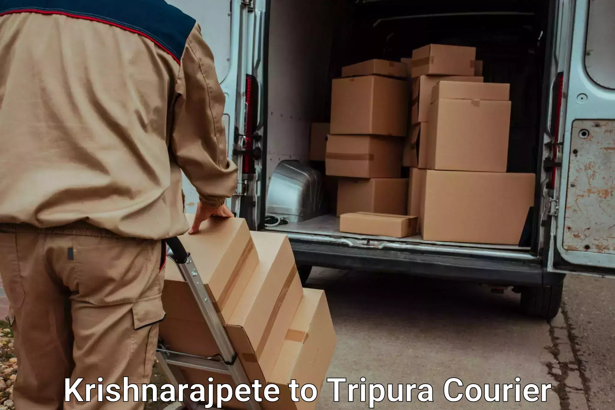 Luggage shipping strategy Krishnarajpete to Ambassa