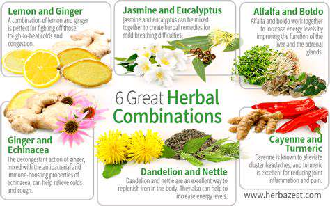 BeyondtheBasics:CreativeHerbCombinations