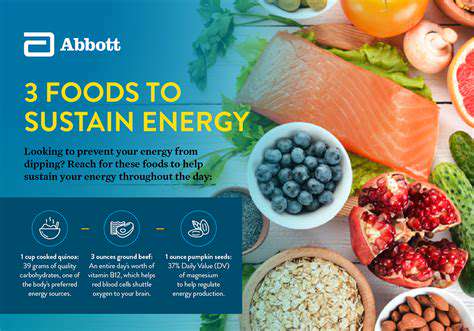 BeyondtheMeal:Protein-RichSnacksforSustainedEnergy
