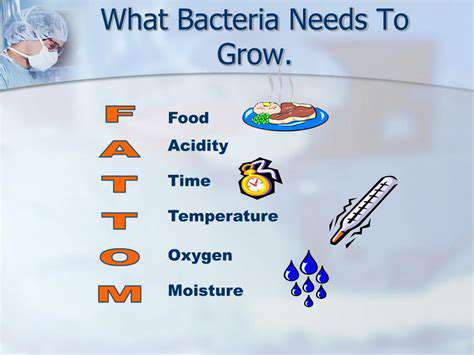 ControllingMoisture:TheCrucialFactor