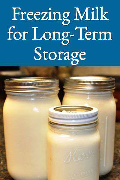 Storing Dairy Products Properly: Extend Freshness