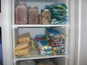 FreezingforFutureUse:PreservingYourHarvestandKitchenStaples