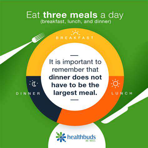 FromBreakfasttoDinner:AdaptabilityAcrossMeals